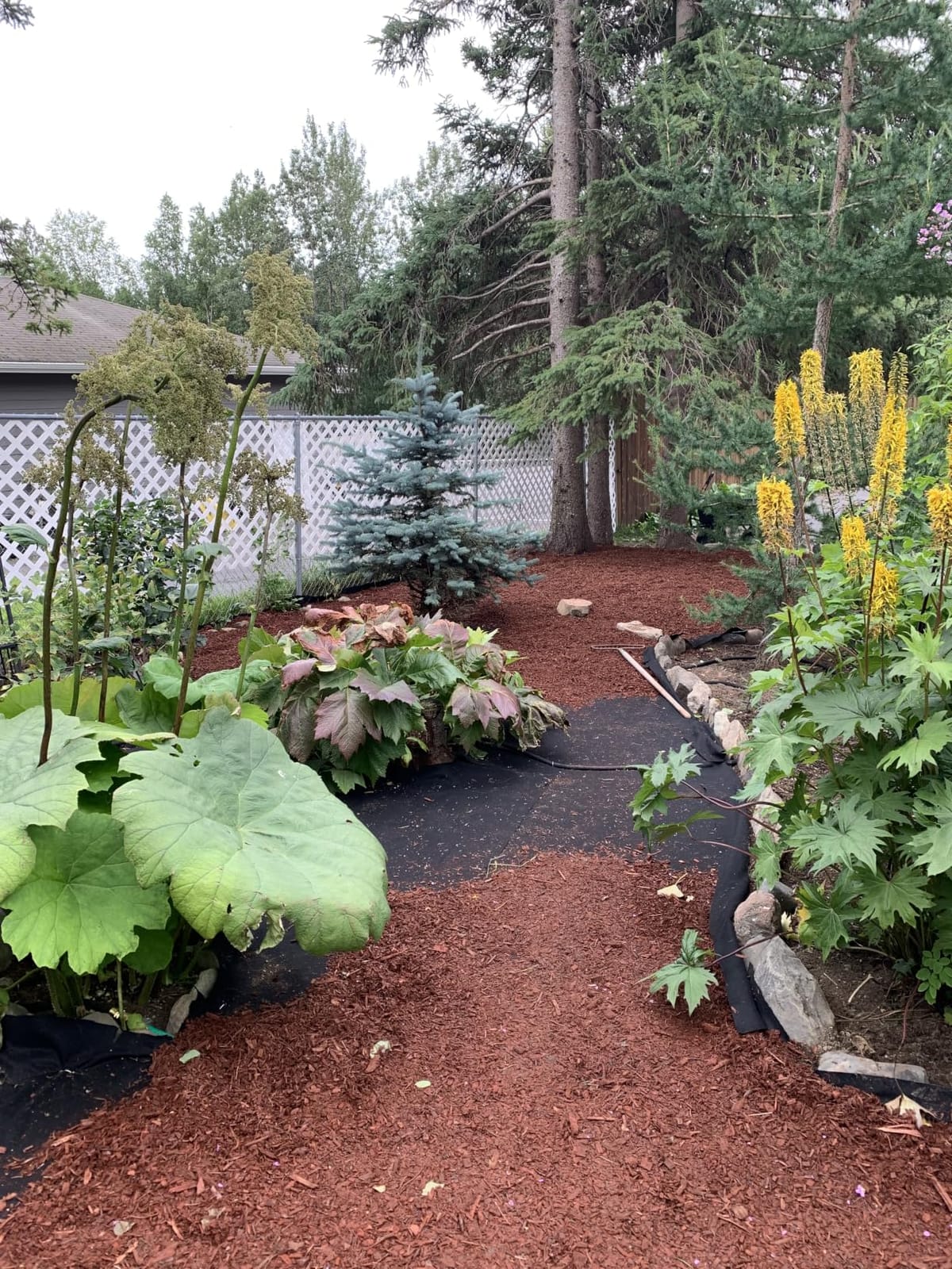 Super Geotextile 4, 6, 8 oz Non Woven Fabric for Landscaping, French Drains, Underlayment, Erosion Control, Construction Projects - 4 oz (4X50) customer photo 1