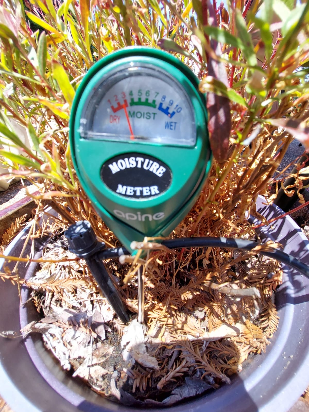apine Soil Moisture Meter,Plants Moisture Meter,Plant Water Meter for Indoor/Outdoor Plants,Hydrometer for Plants（Green） customer photo 1
