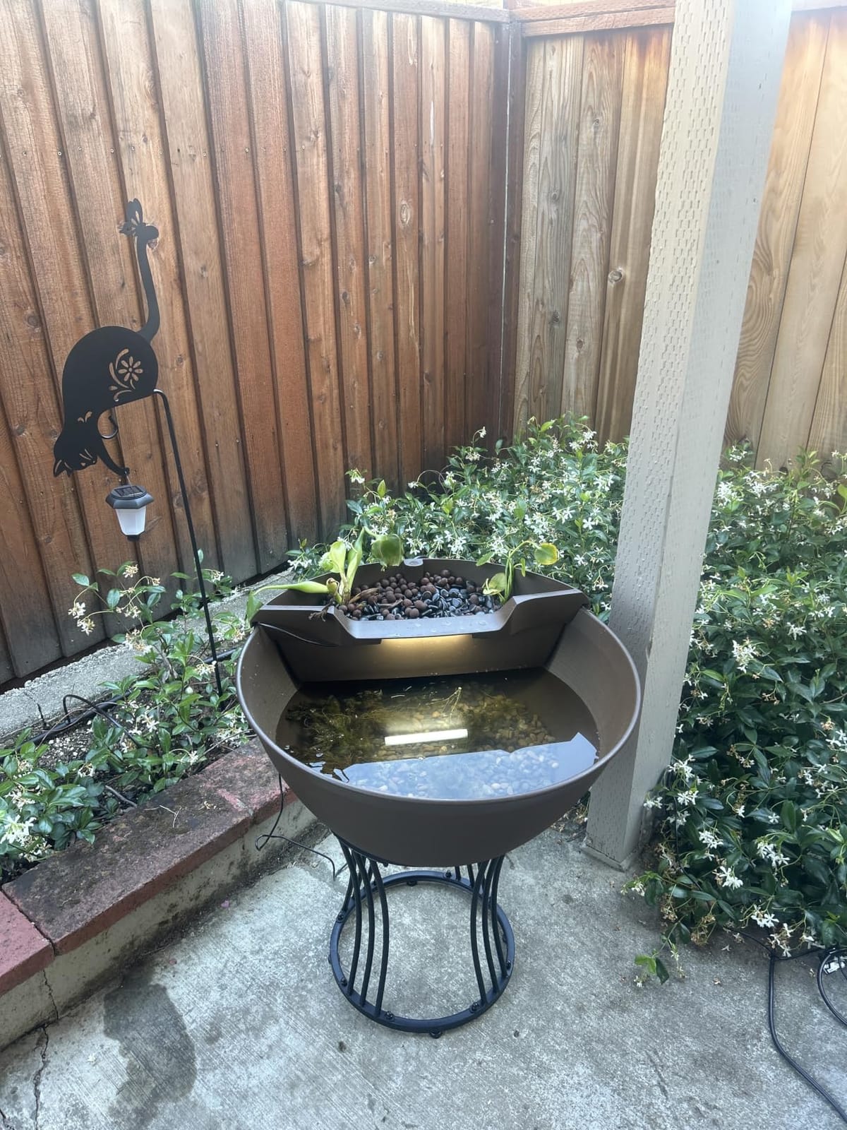 Aquascape Pond and Waterfall Kit AquaGarden Container Water Garden, Steel Gray customer photo 1