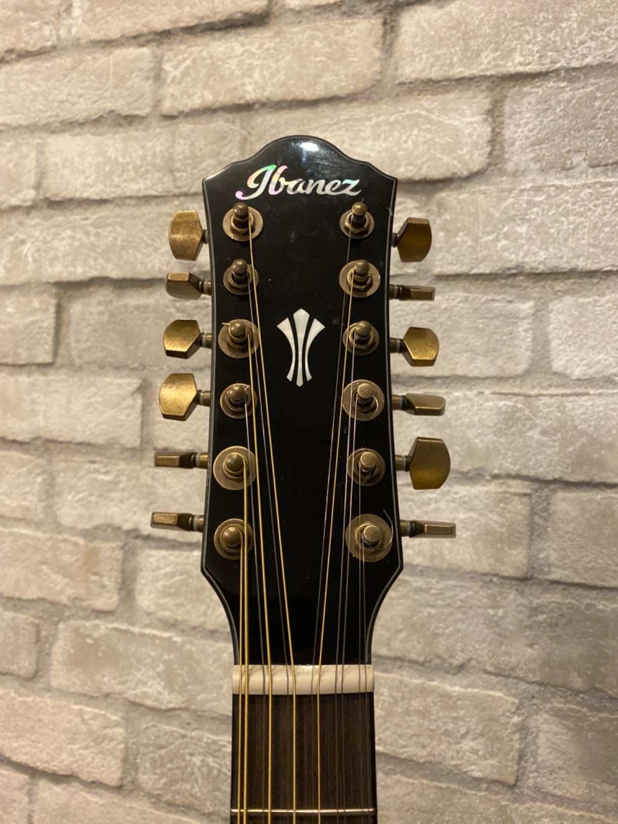 Ibanez AEG5012 12-string Acoustic-electric Guitar - Black customer photo 2