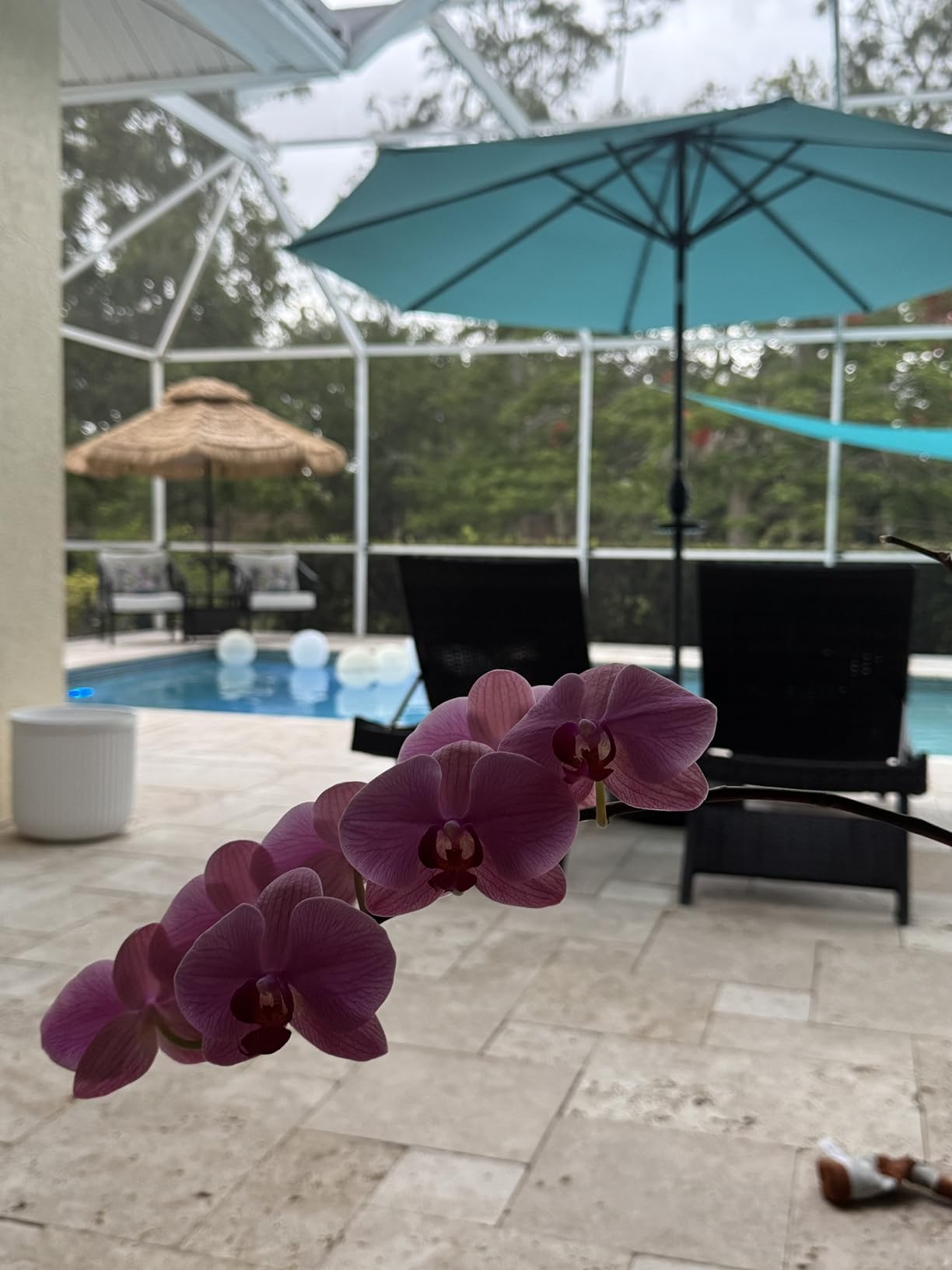 79'' Long Reclining Chaise Lounge Set (Set of 2), Outdoor Wicker Reclining Lounge Chair Patio Rattan Double Chaise Lounge Lawn Sunbathing Chairs Beach Pool Backrest Recliners (Set of 2) customer photo 2