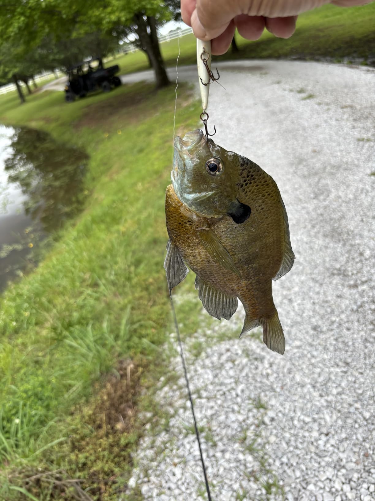 Piscifun Flame Spinning Reel, Lightweight, 22lb Max Drag, 9+1BB customer photo 1