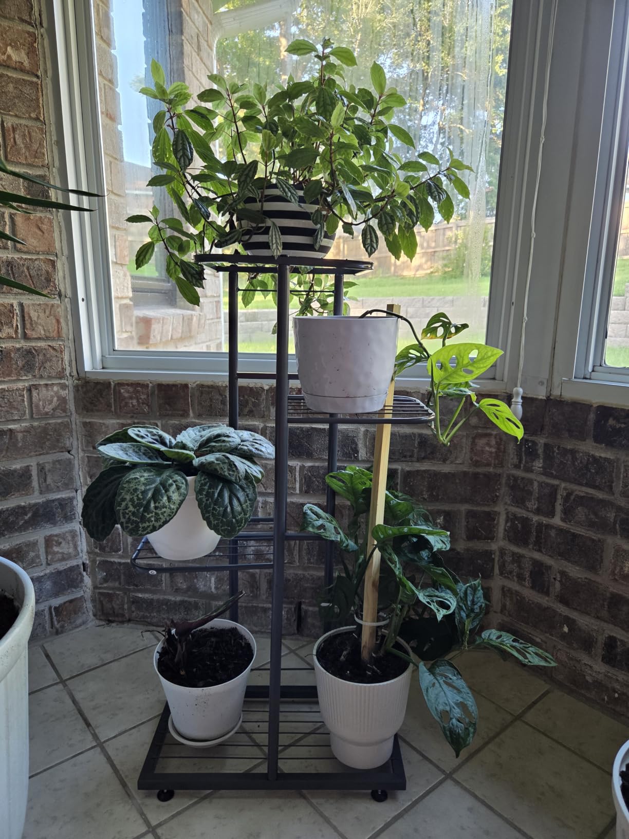 LINZINAR 4 Tier Plant Stand Indoor Outdoor Metal Flower Pot Display Shelf customer photo 2