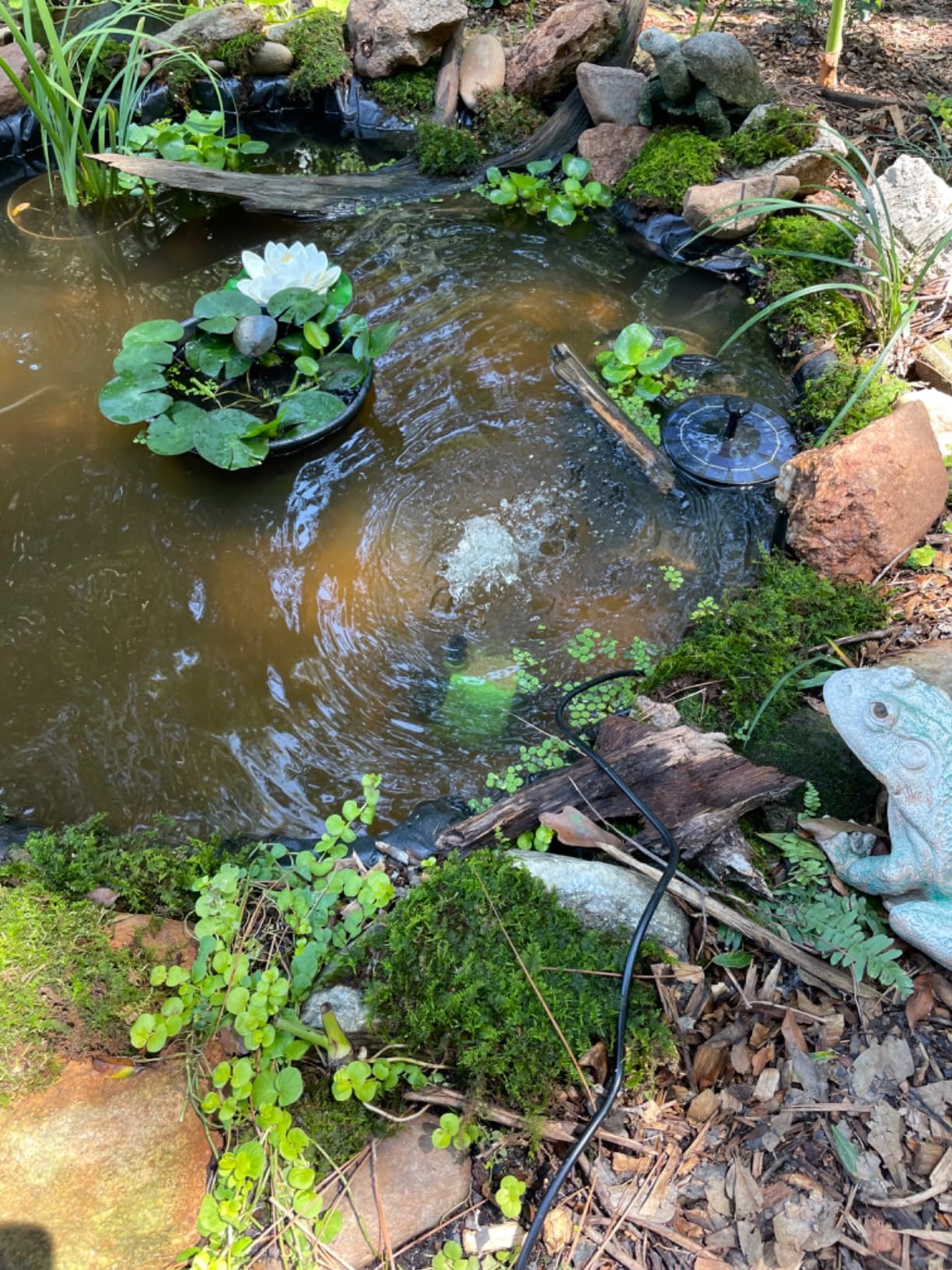 FREESEA 800GPH Small Pond Pump: Circulate 500-1200 Gallon Pond in 1-2 Hours customer photo 2
