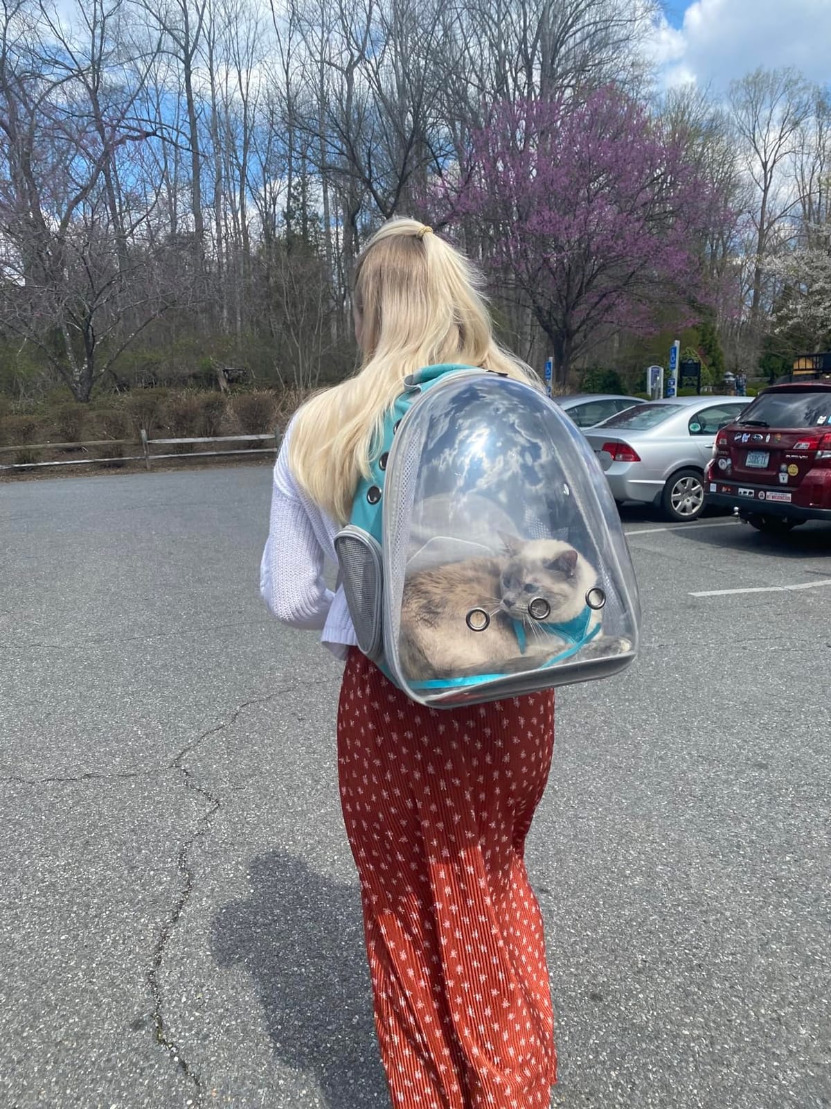 Front Expandable Cat Backpack Carrier, Fit up to 20 lbs, Printed Artwork with Space Capsule Bubble Window Pet Carrier Backpack for Large Fat Cat and Small Puppy customer photo 1