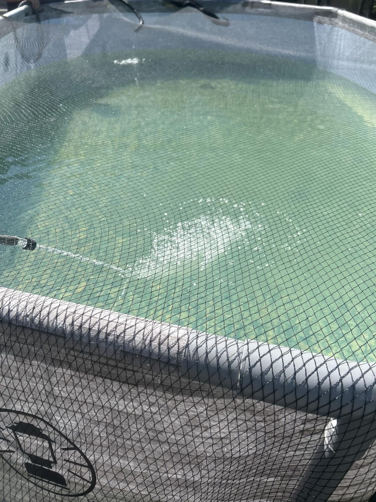 BUZIFU Pond Netting, 15 x 20FT Heavy Duty Pond Net for Koi Ponds, Garden Pool Fine Mesh Netting Kit for Leaves, Protects Koi Fish from Birds Cats Predators, with 14 Stakes and 30 Cable Zip Ties customer photo 2