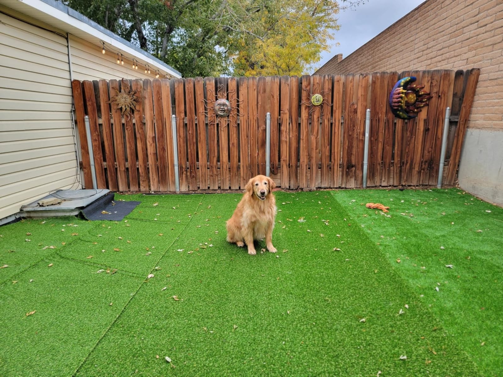 Heyroll Artificial Turf Grass Outdoor 7x15ft, 0.8-in Synthetic Fake Grass customer photo 2