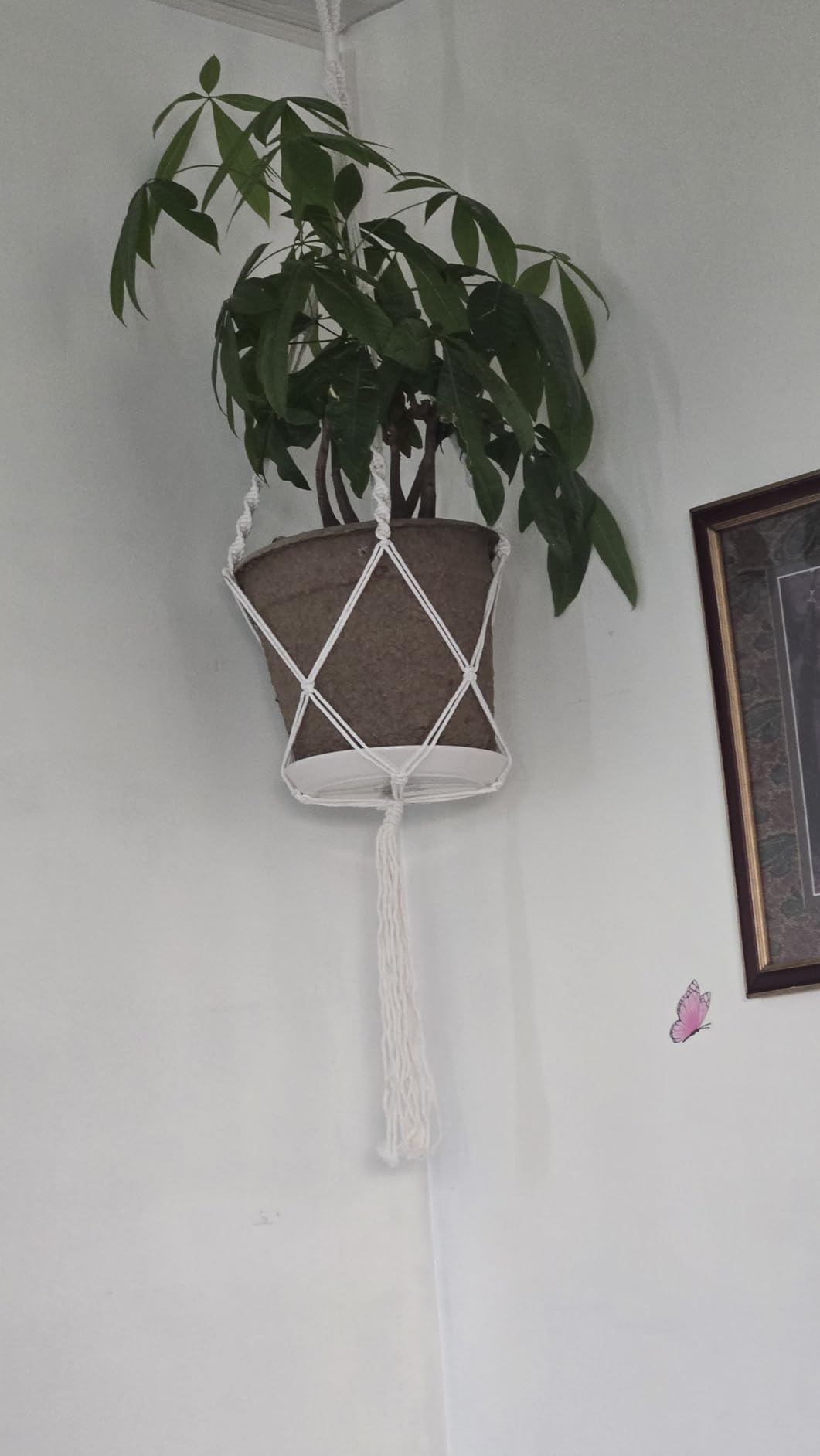 MIPON 3 Pack Macrame Plant Hangers, Hanging Planters for Indoor Plants | 3 Sizes (34