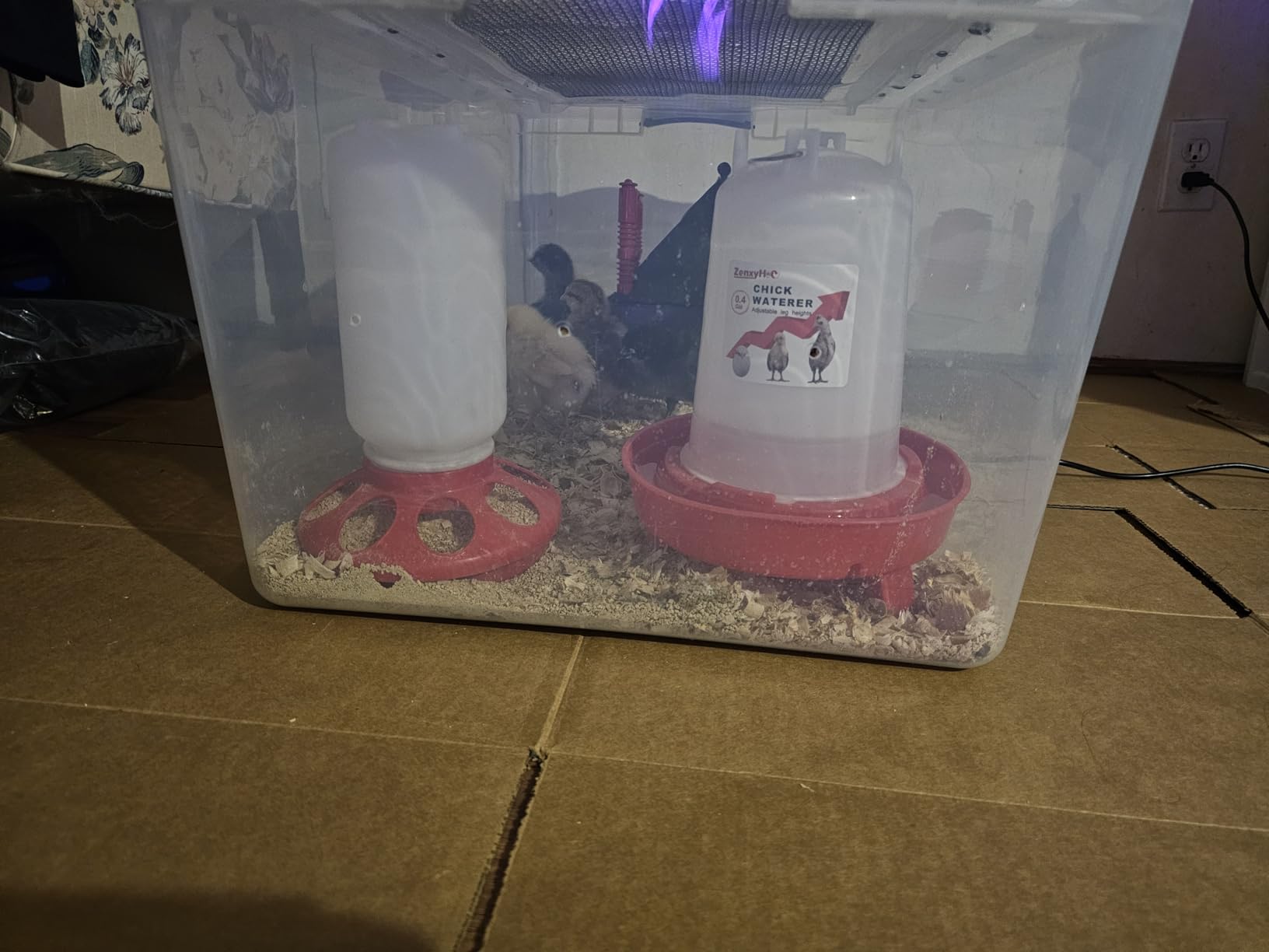 2-in-1 Chick Starter Set: 0.3 Gal Feeder & 0.4 Gal Waterer Green customer photo 1