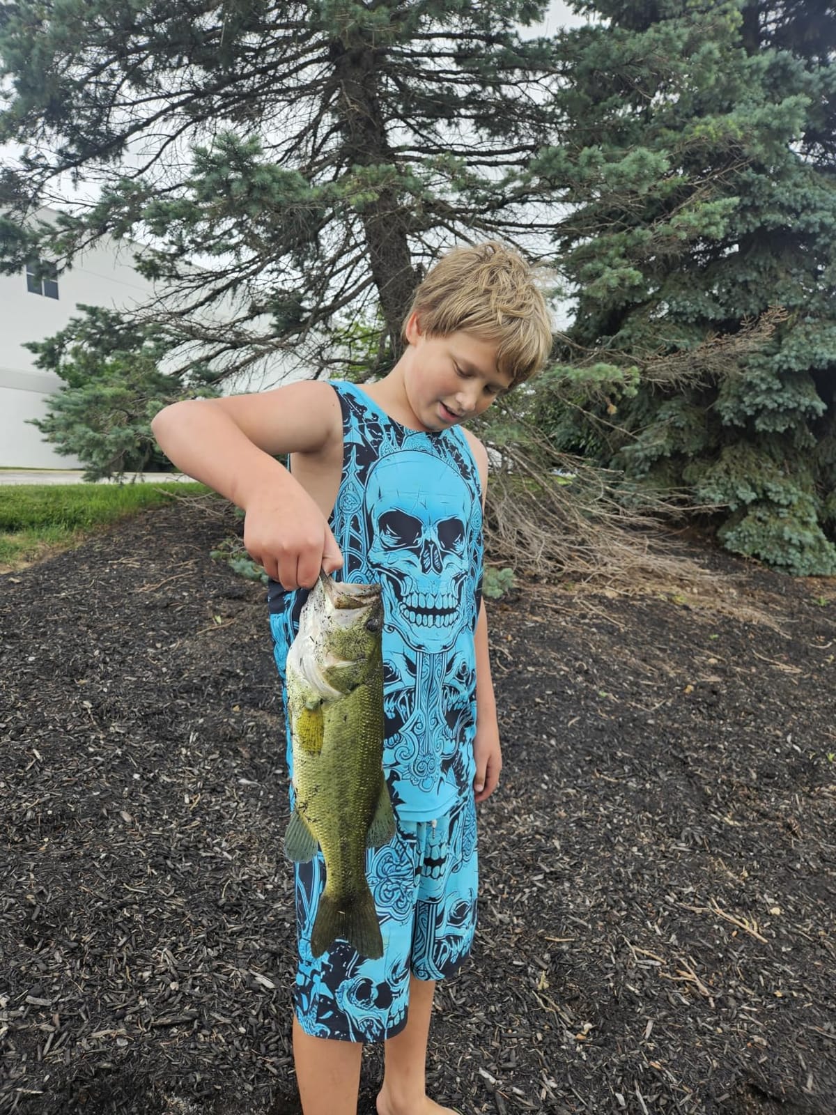 Summer and Centron Spinning Reels, 12 +1 BB Light Weight & Ultra Smooth Reel for Ice/Summer 3000/1000 Fishing Reel by QINGLER customer photo 1