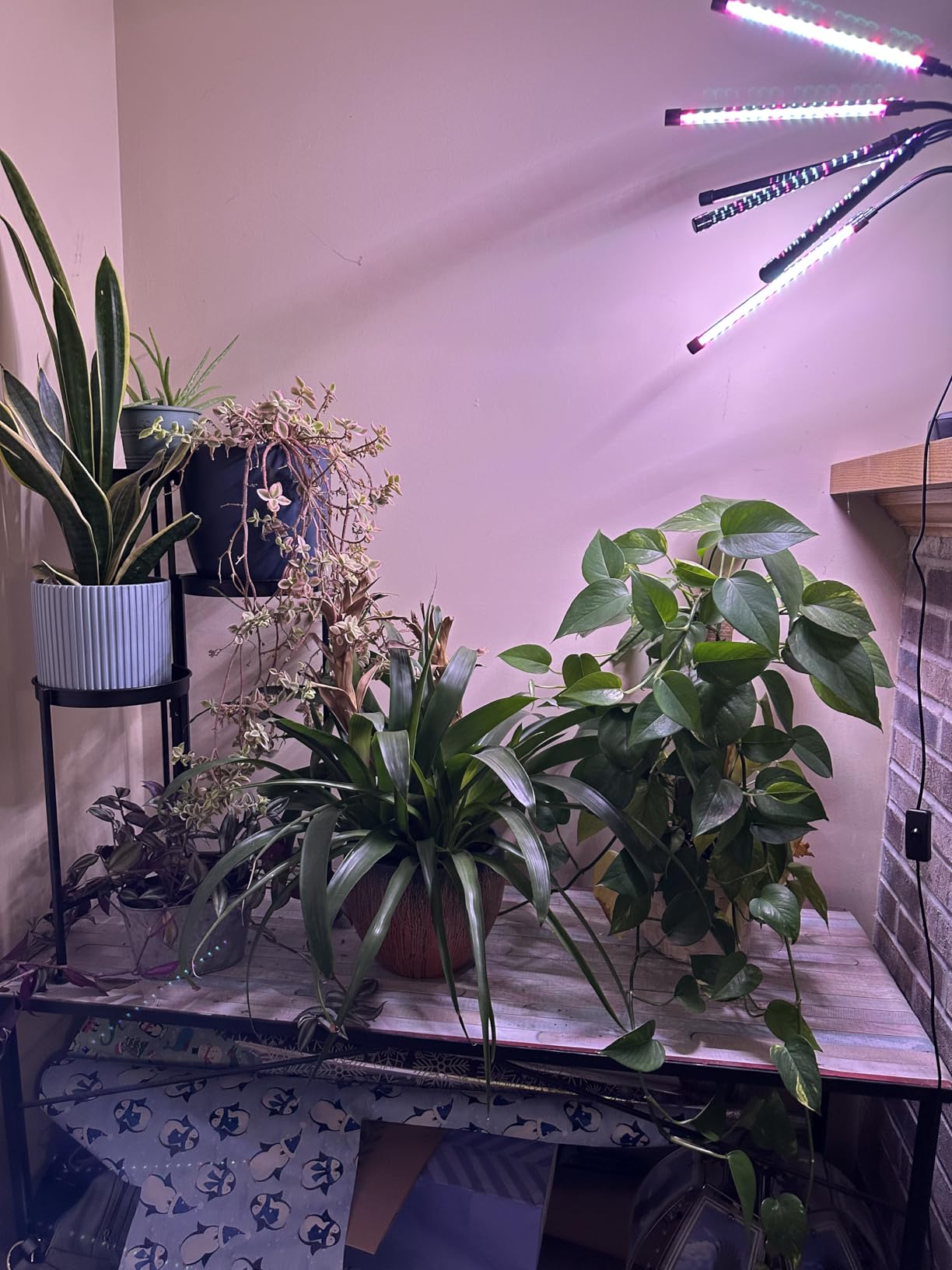 SYEIORAOM Grow Lights for Indoor Plants, Six Head Plant Light with Full Spectrum, LED Grow Lamps for Seed Starting with Adjustable Gooseneck, Suitable for Flowers Vegetables customer photo 2
