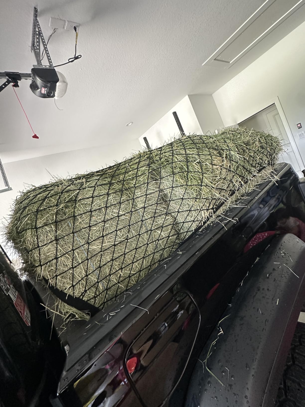 Highly Elastic Cargo Net, Simple Truck Bed Cargo Mesh Organizer, Suitable for 5ft - 6ft Standard Bed Trucks, 4'x4' Stretches to 7'x7' (Single Layer) customer photo 1