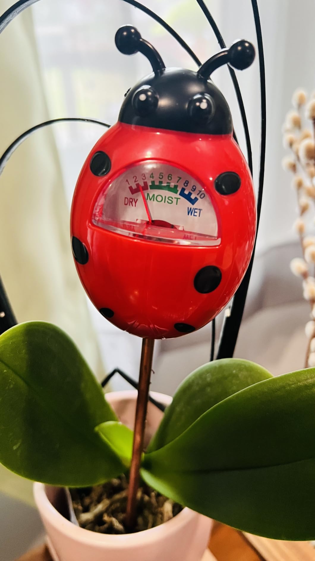 UNIWA Soil Moisture Meter, Plant Moisture Meter, Gardening Tool Kits for Plant Care customer photo 2