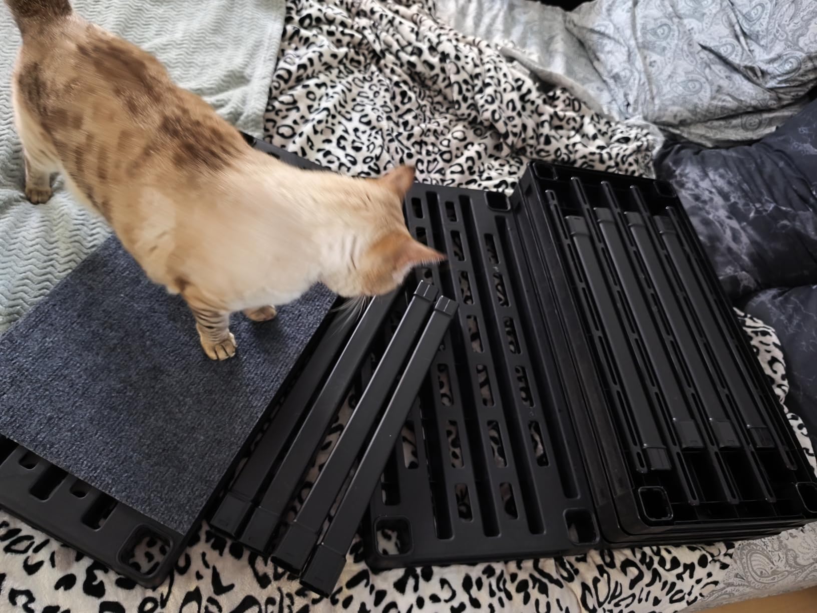 IRIS USA Plastic Storage Shelves |Made in USA| 64