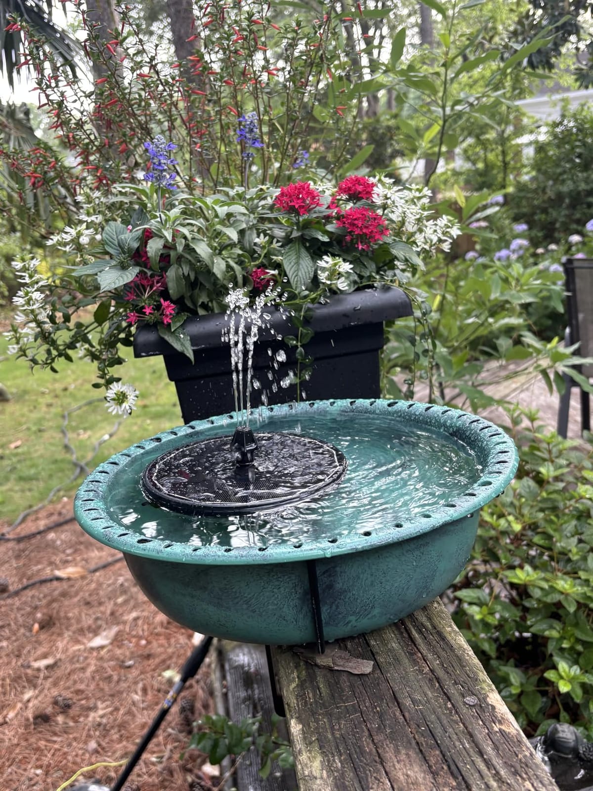 3.5W Solar Fountain with 2000mAh Battery - Work On Cloudy Days - Upgrade Glass Panel Solar Bird Bath Fountain, Hummingbird Water Feature Pump with 7 Nozzles, 4 Fixed Pipes for Garden, Pool customer photo 1