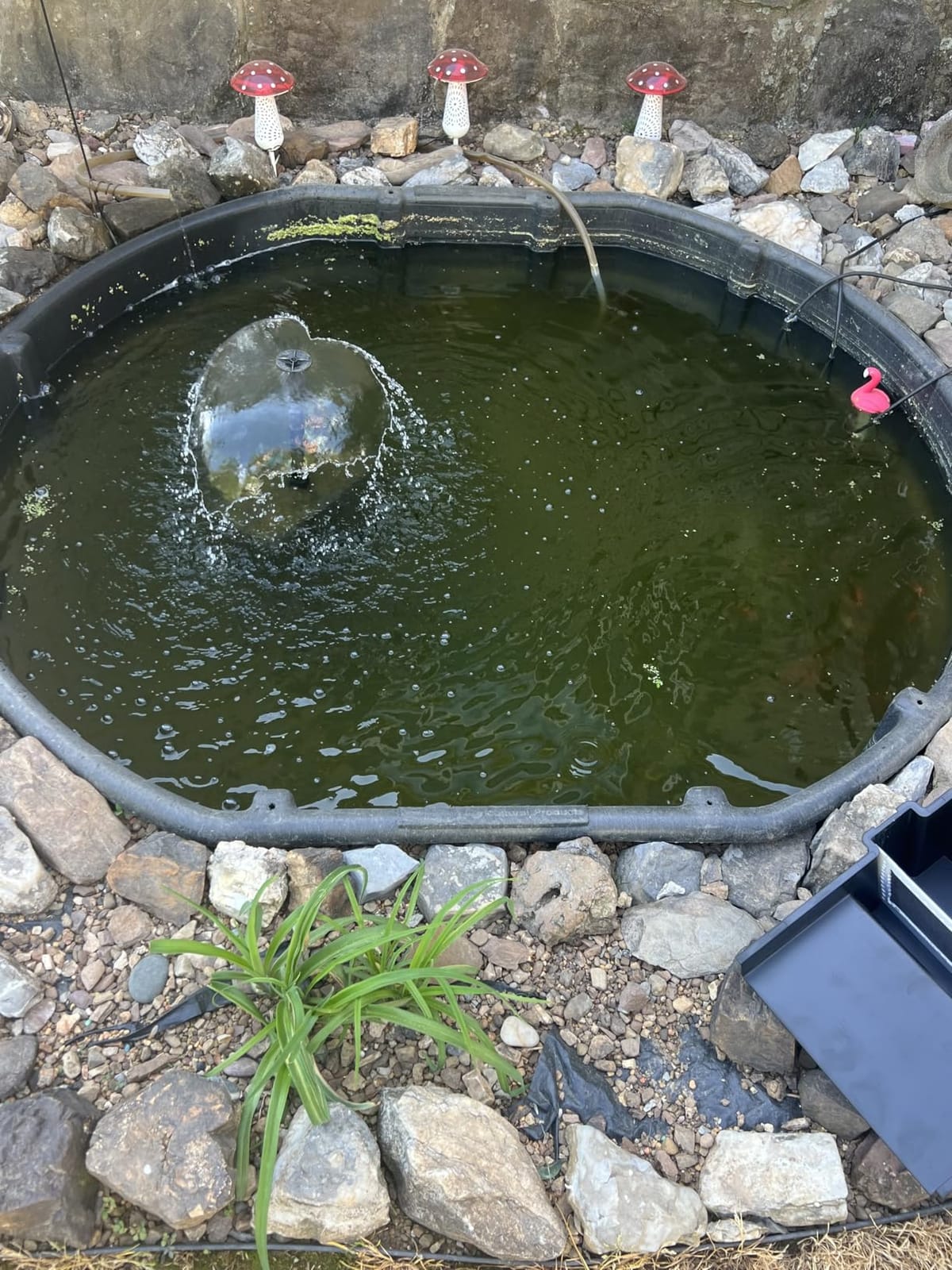 VIVOGROW Bio Pressure Pond Filter, with 13W UV-C Light, 1050 GPH Suitable for Koi Ponds up to 500 Gallons or Landscape Pools up to 1050 Gallons customer photo 2