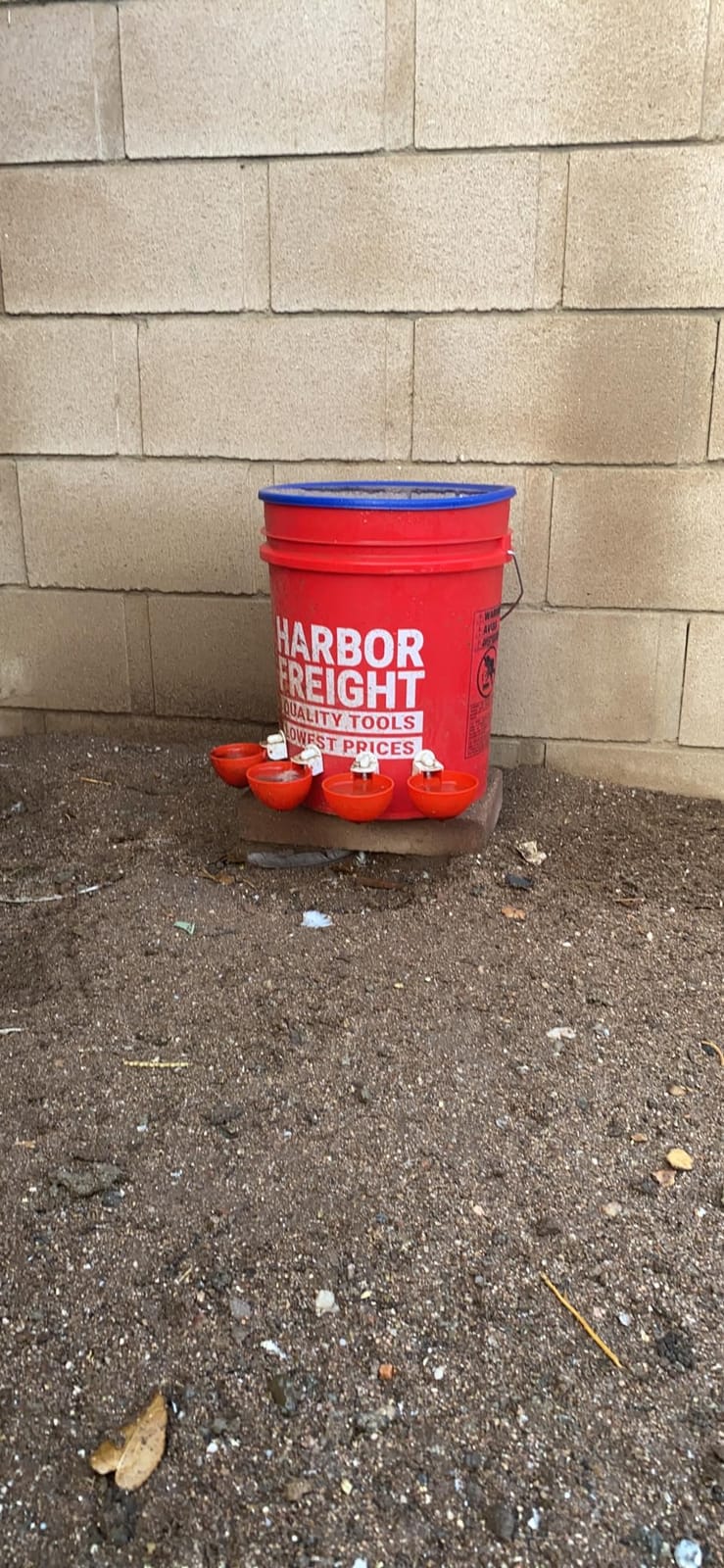 Darcvds Professional Chicken Waterer Cups, 8 Packs Large Chicken Water Feeder, Tee Fittings Poultry Waterer Suitable for Duck, Chicks, Goose, Turkey, Bunny and Bird with Mounting Hole Opener customer photo 1