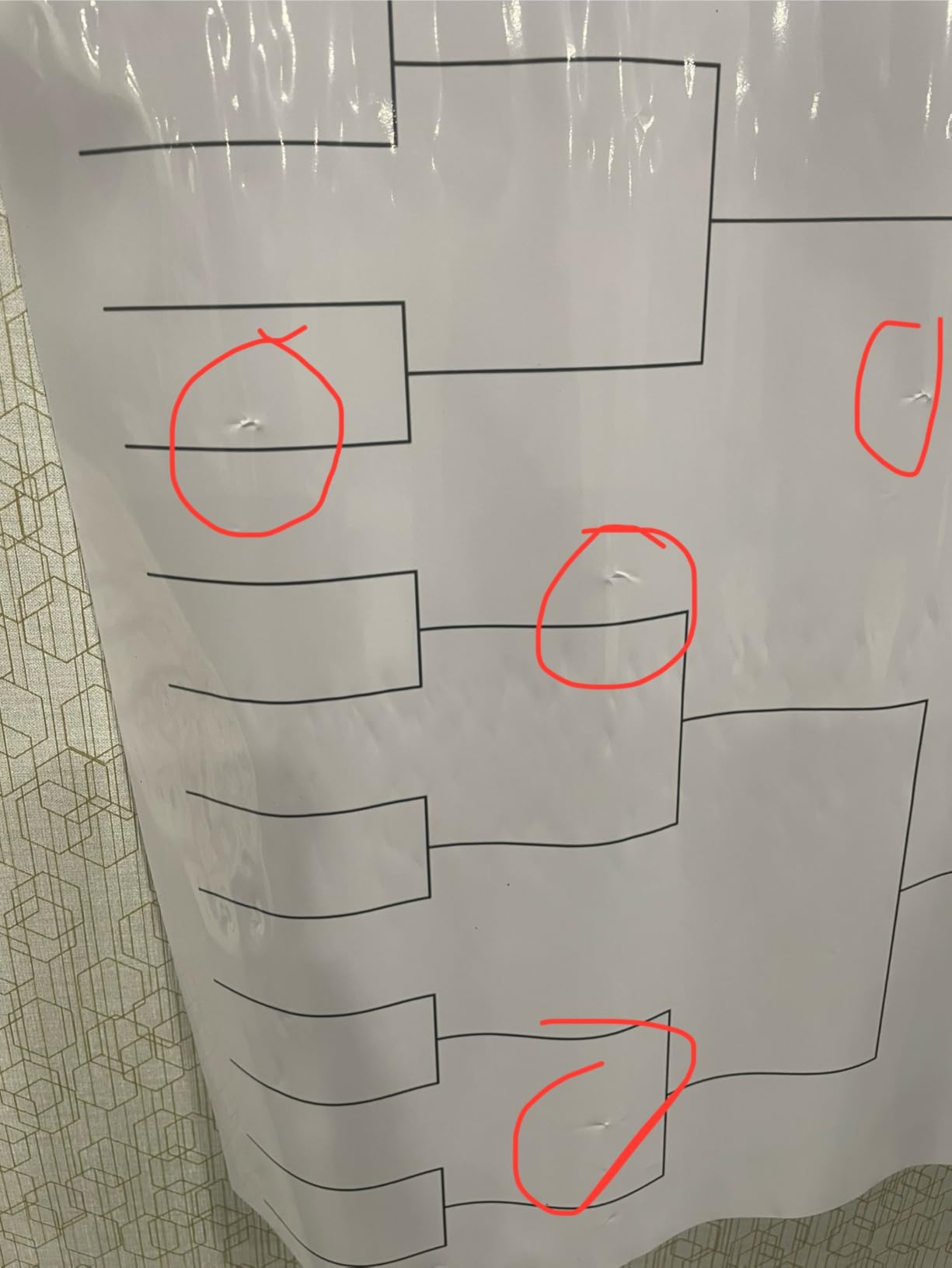 Pasimy 64 Team Tournament Bracket Board Poster Set, Erasable, 24 x 36 Inch customer photo 2