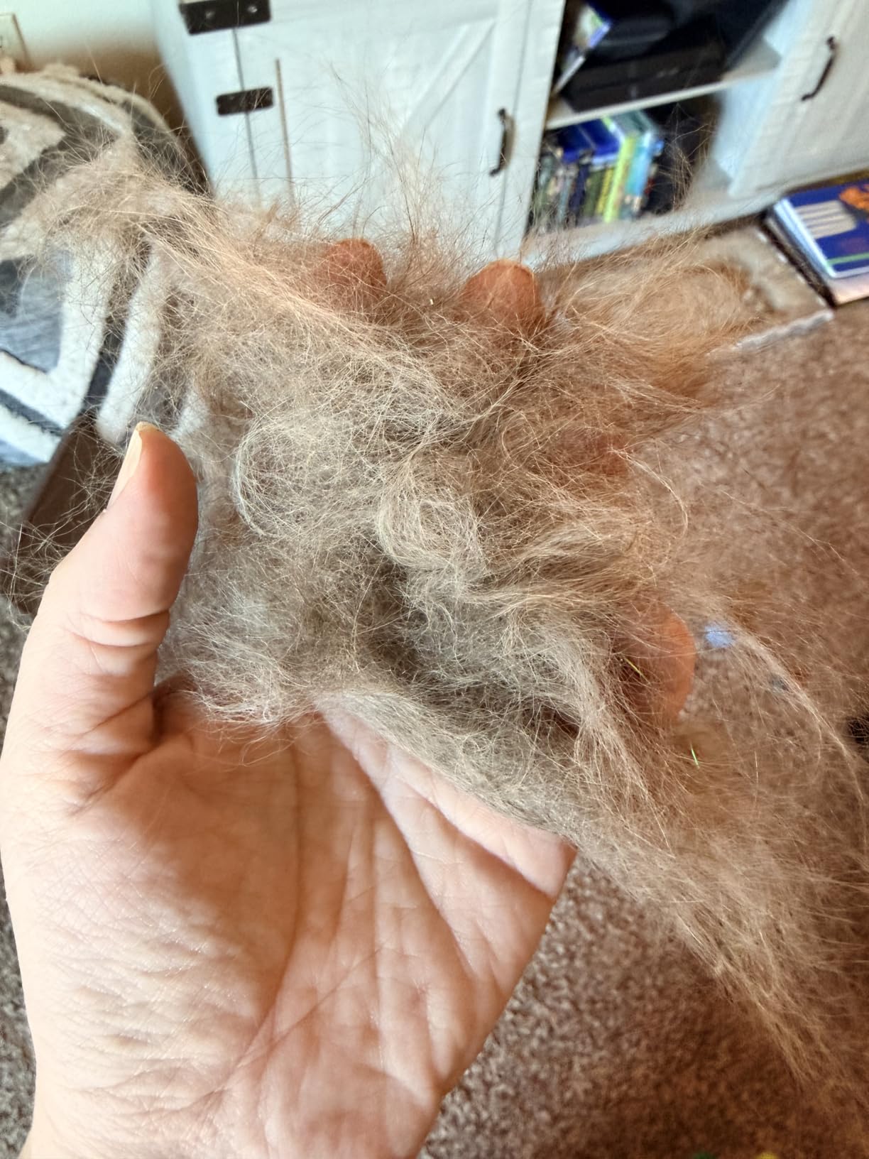 Docrok Pet Grooming Combo - Blue Deshedding Brush with Metal Comb for Detangling and Dematting Long, Matted Fur on Cats and Dogs customer photo 2