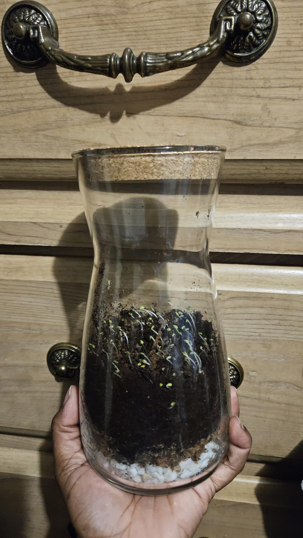 Terrarium Kit for Plants DIY | Starter Pack - Closed Ecosystem - 34 fl oz Glass - Succulents, Air Plants, Bonsai, Indoor Plants - (Plants Not Included) customer photo 1