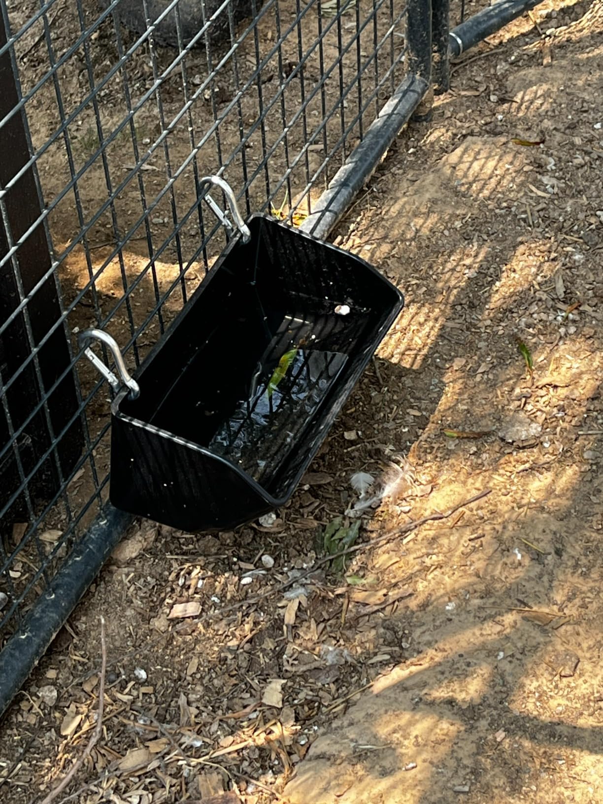 Hanging Chicken Feeder Trough for Goat Sheep Deer Poultry Duck Chicken Fence Feeder Livestock Feeding Container Goats Supplies Feeders Waterer Bucket customer photo 1