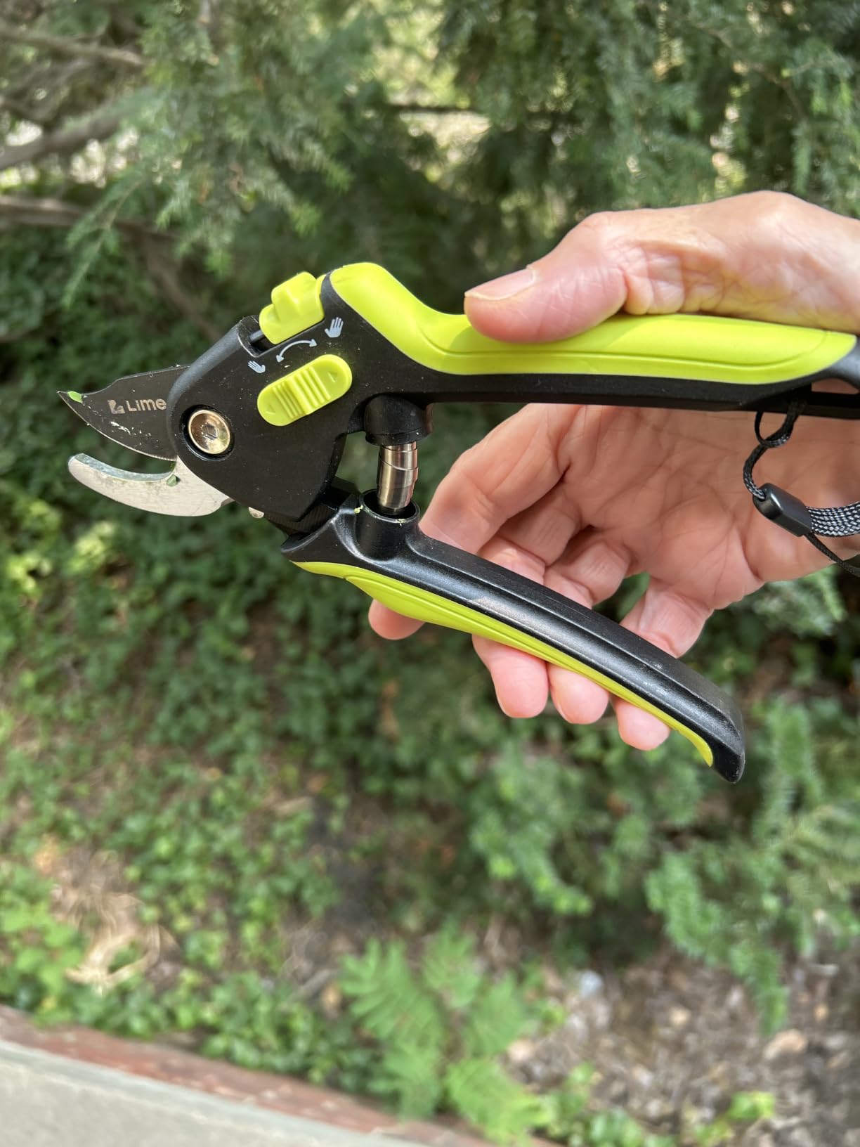 Ultra Sharp Japanese Steel Pruning Shears - Cuts 3X Easier, Weak Hand Arthritis Clippers, Rust-Resistant Titanium Coated Pruner, Effortlessly Cuts 3/4 Inch customer photo 1