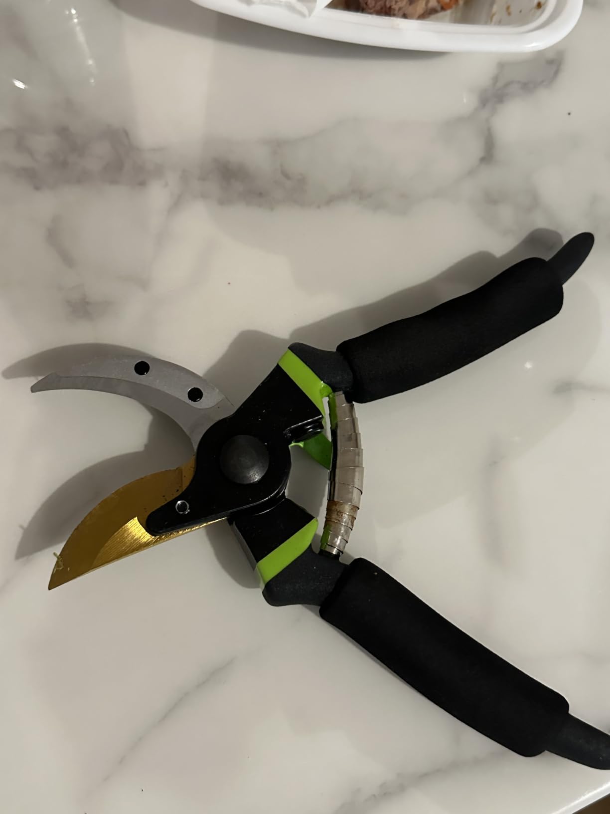 Ultra Sharp Japanese Steel Pruning Shears - Cuts 3X Easier, Weak Hand Arthritis Clippers, Rust-Resistant Titanium Coated Pruner, Effortlessly Cuts 3/4 Inch customer photo 2