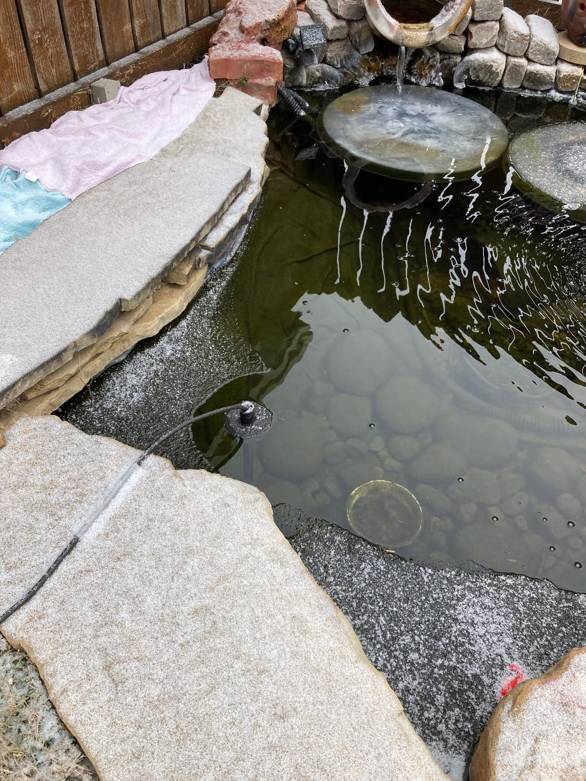 HITOP Outdoor Pond Heater - 150W 300W 600W Aquarium Heater for Small Ponds, Kio Pond, Pond De-icer with Long Cable Wire and Floatable Foam customer photo 1