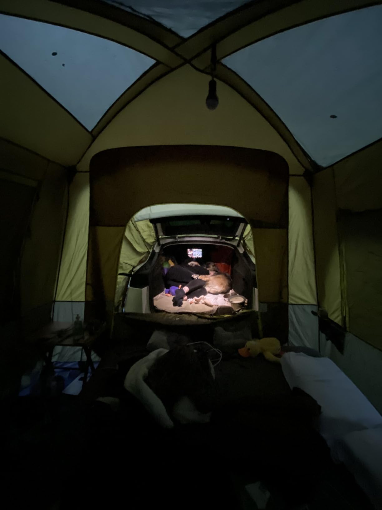 Timber Ridge Truck-Bed-Tents SUV Camping Tent customer photo 2