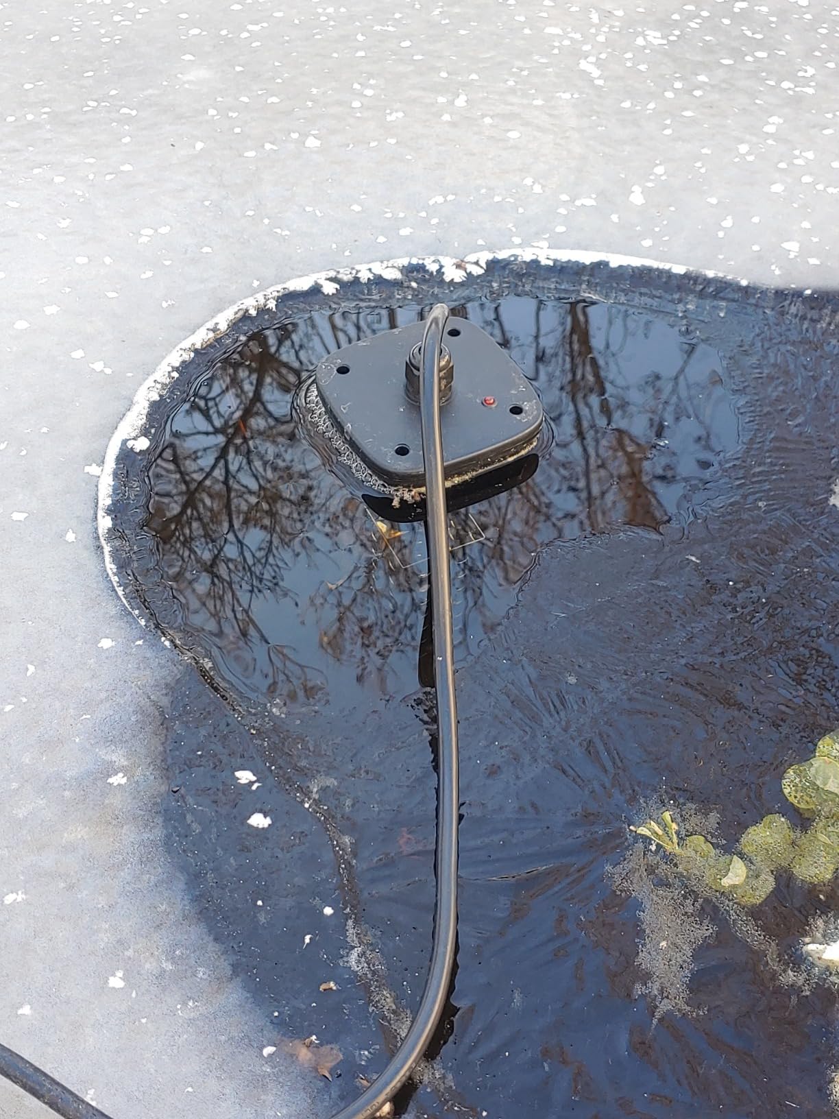 Saillong Pond Heater, Floating Deicer Heater for Outdoor Ponds, 500W customer photo 2