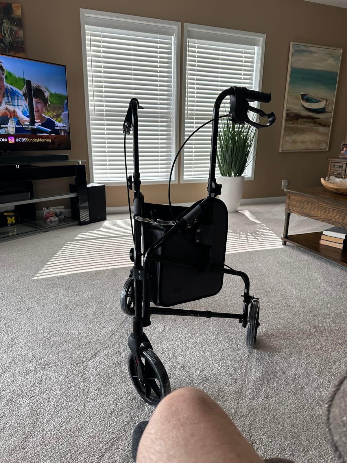 Vive Mobility 3 Wheel Walker for Seniors - Foldable Narrow Rollator Walker customer photo 1