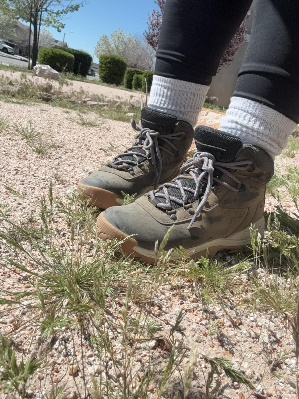 Columbia Women's Newton Ridge Plus Waterproof Hiking Boots customer photo 1