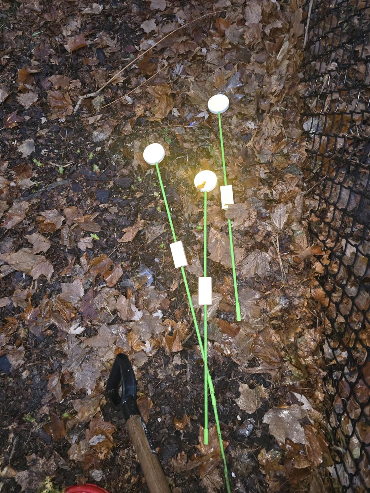 LOMNYIY Driveway Markers Reflectors,Reflective Driveway Markers for Snow Plowing, 51Inch Fiberglass Pole Double Sided Reflectors for Driveway,Different Heights of Reflective (4Pcs) customer photo 1