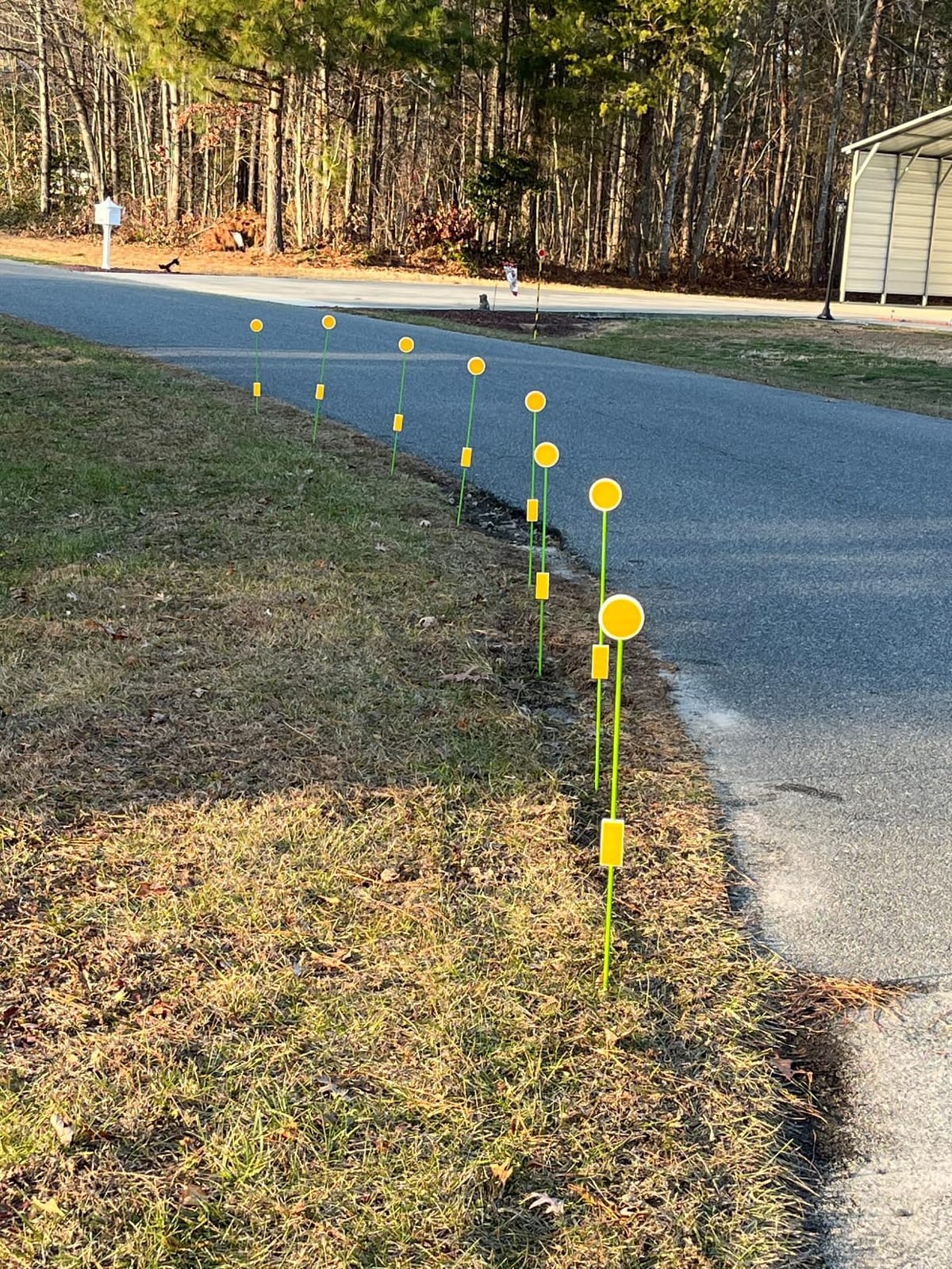 LOMNYIY Driveway Markers Reflectors,Reflective Driveway Markers for Snow Plowing, 51Inch Fiberglass Pole Double Sided Reflectors for Driveway,Different Heights of Reflective (4Pcs) customer photo 2
