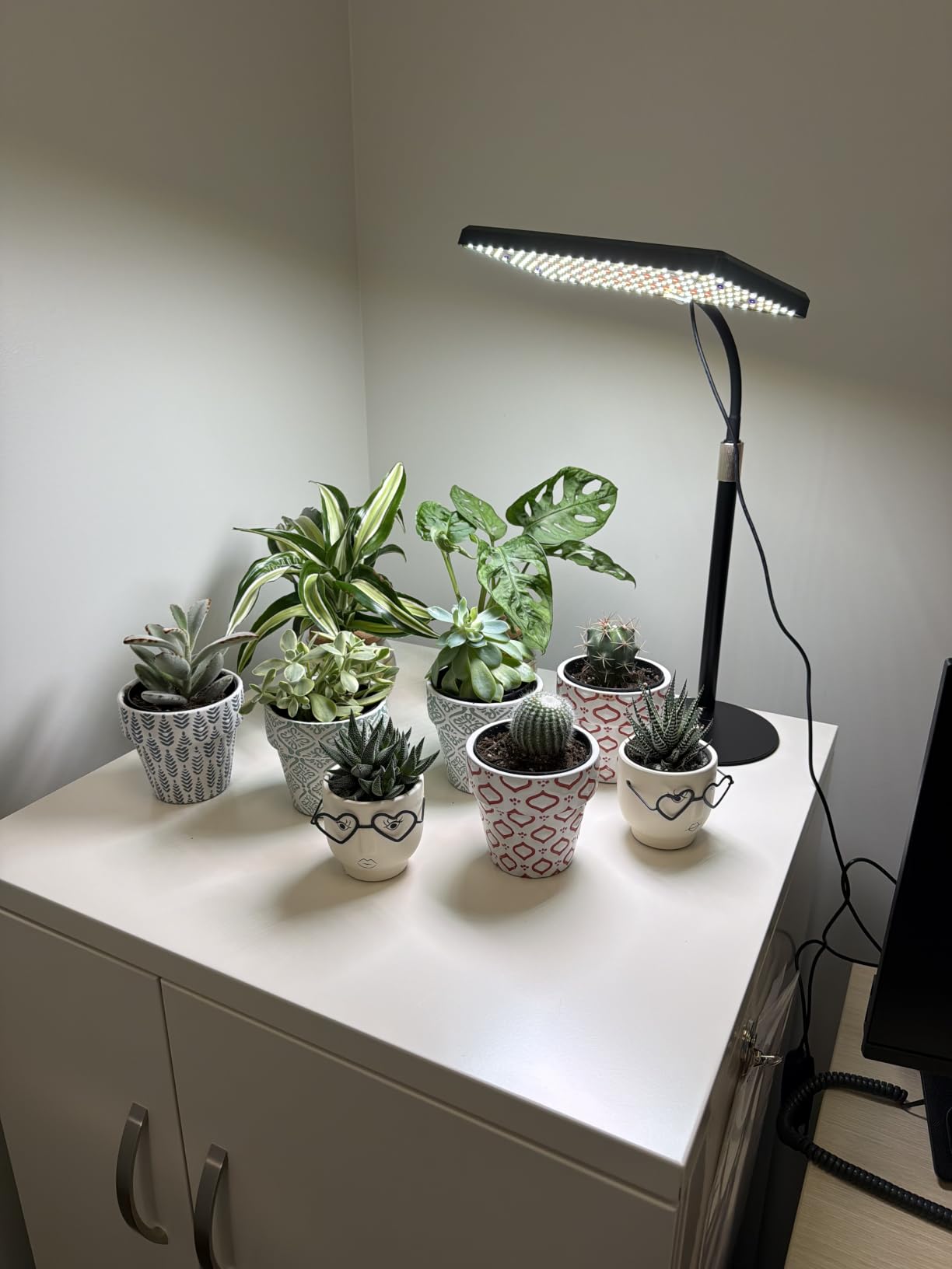 LBW Desk Grow Light, 214 LEDs Full Spectrum Plant Light for Indoor Plants customer photo 2
