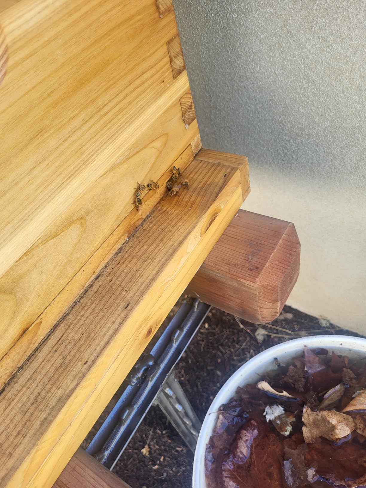 BeeCastle 10-Frame Langstroth Beehive with Windows, Beeswaxed Coated Bee Hive for Beginners with Beehive Frames and Waxed Foundations (2 Deep Bee Boxes & 1 Medium Super Bee Box) customer photo 1