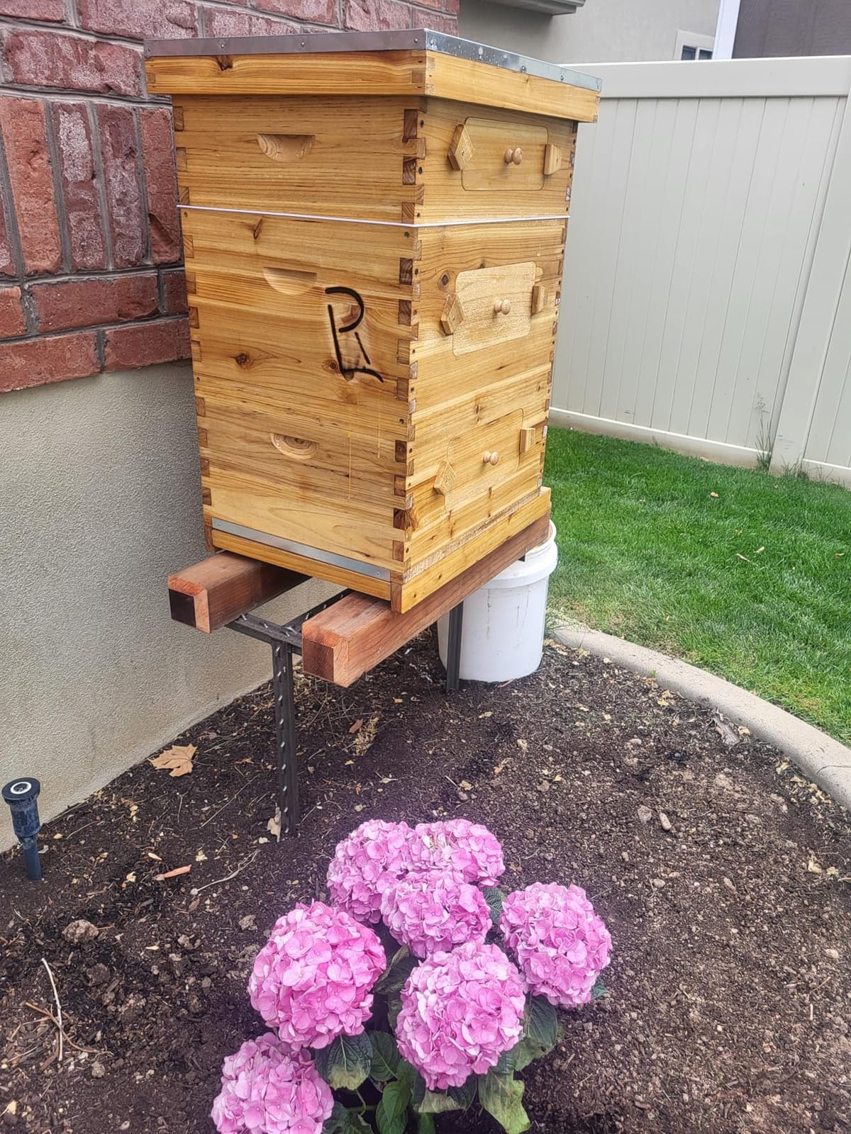 BeeCastle 10-Frame Langstroth Beehive with Windows, Beeswaxed Coated Bee Hive for Beginners with Beehive Frames and Waxed Foundations (2 Deep Bee Boxes & 1 Medium Super Bee Box) customer photo 2