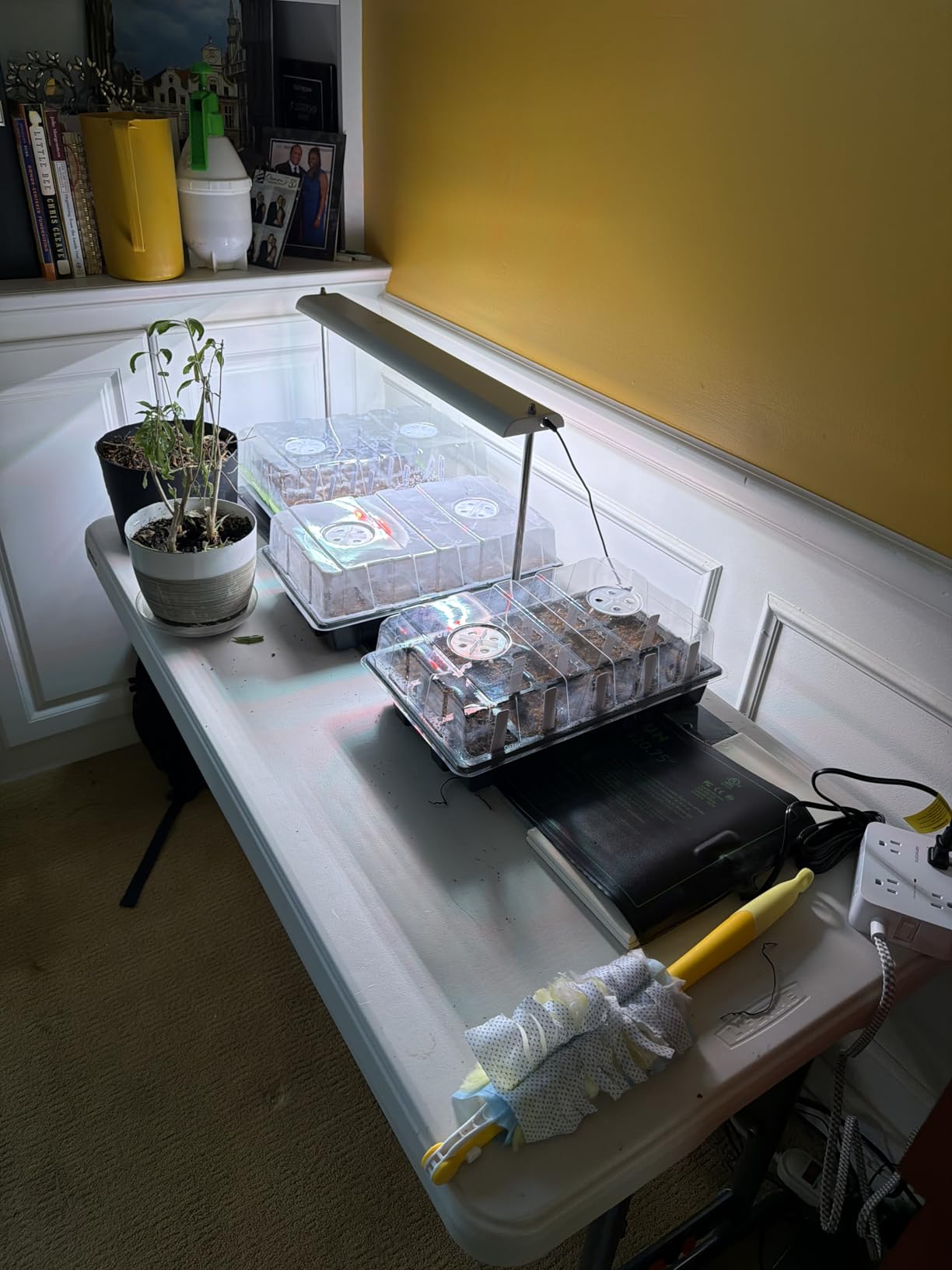 FOXGARDEN Grow Light Stand, Advanced LED Plant Growth Lighting with 4/8/12H Timer, 6 Dimming Options, and Adjustable Height - Optimal for Indoor Plants in Seedlings, Vegetative, and Flowering Phases customer photo 2