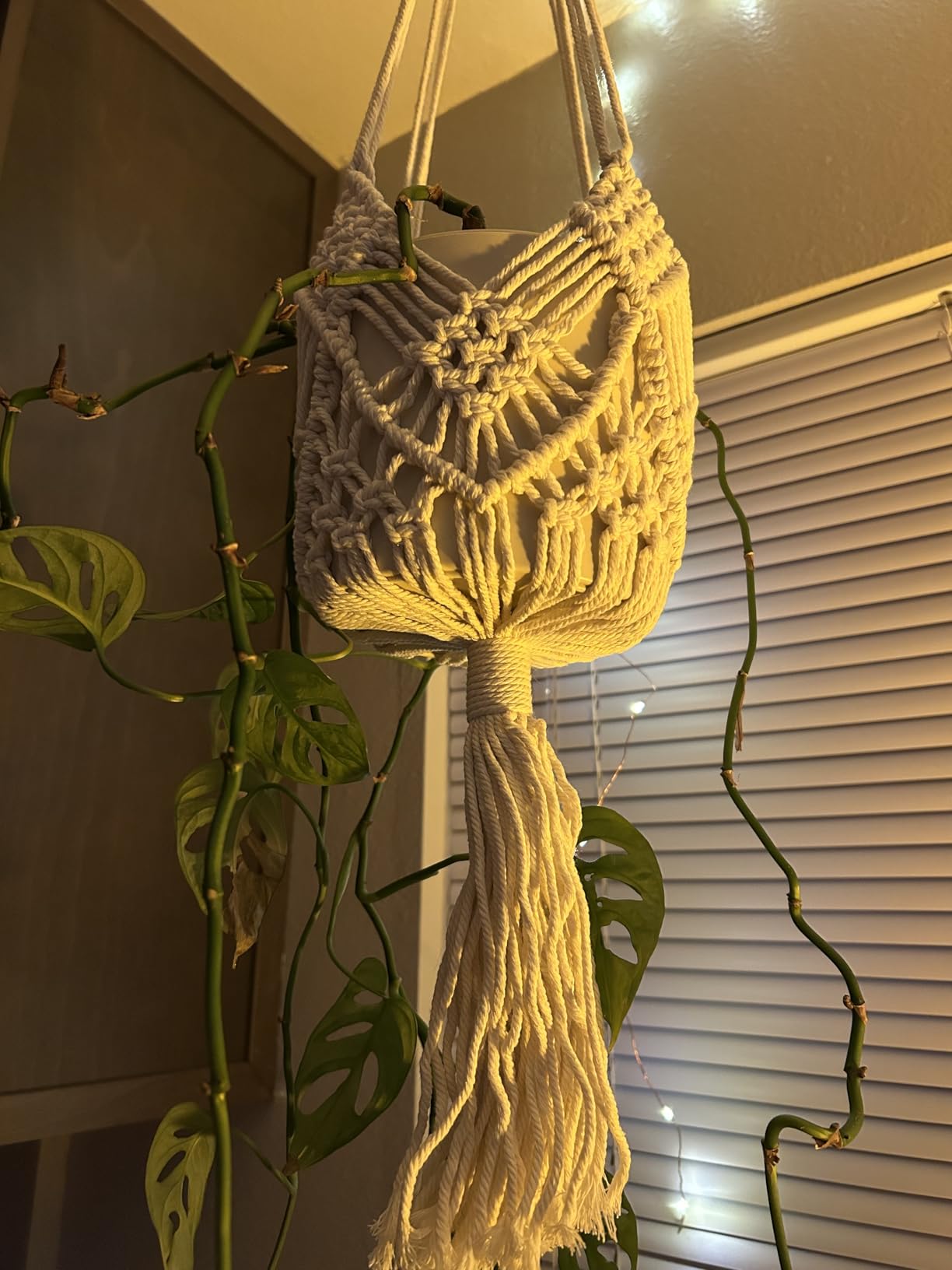 Hanging Planter with Patterns,2Packs Macrame Plant Hangers Indoor Macrame for up to 8 inch Pot Crochet Boho Plant Hanger Holder for Indoor Outdoor with 2S Shaped Stainless Steel Hooks (Caramel) customer photo 2
