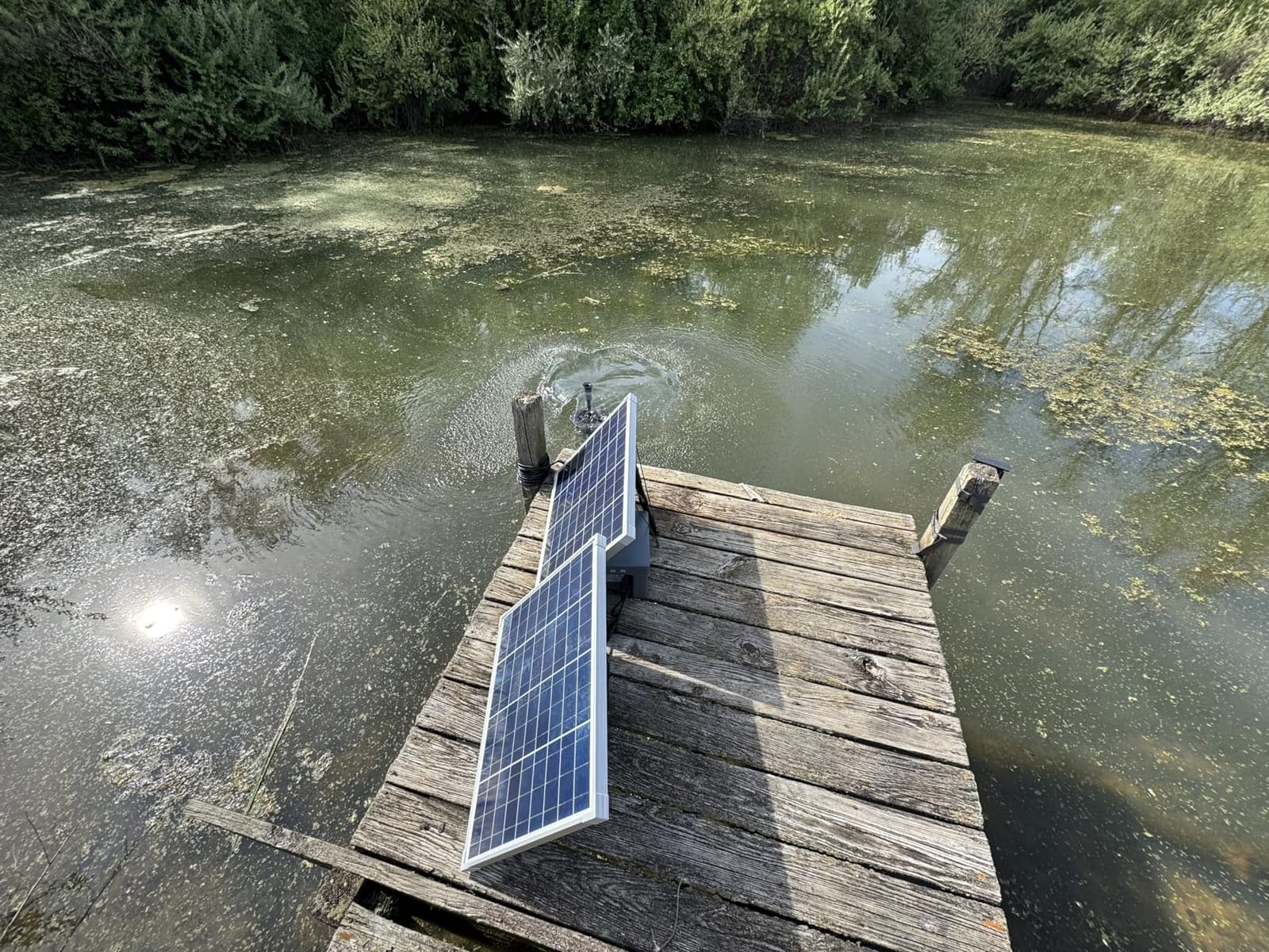 100W Floating Solar Pond Fountain Pump Kit for Ponds Deeper Than 3 Feet and At Least 10 Feet Wide customer photo 2