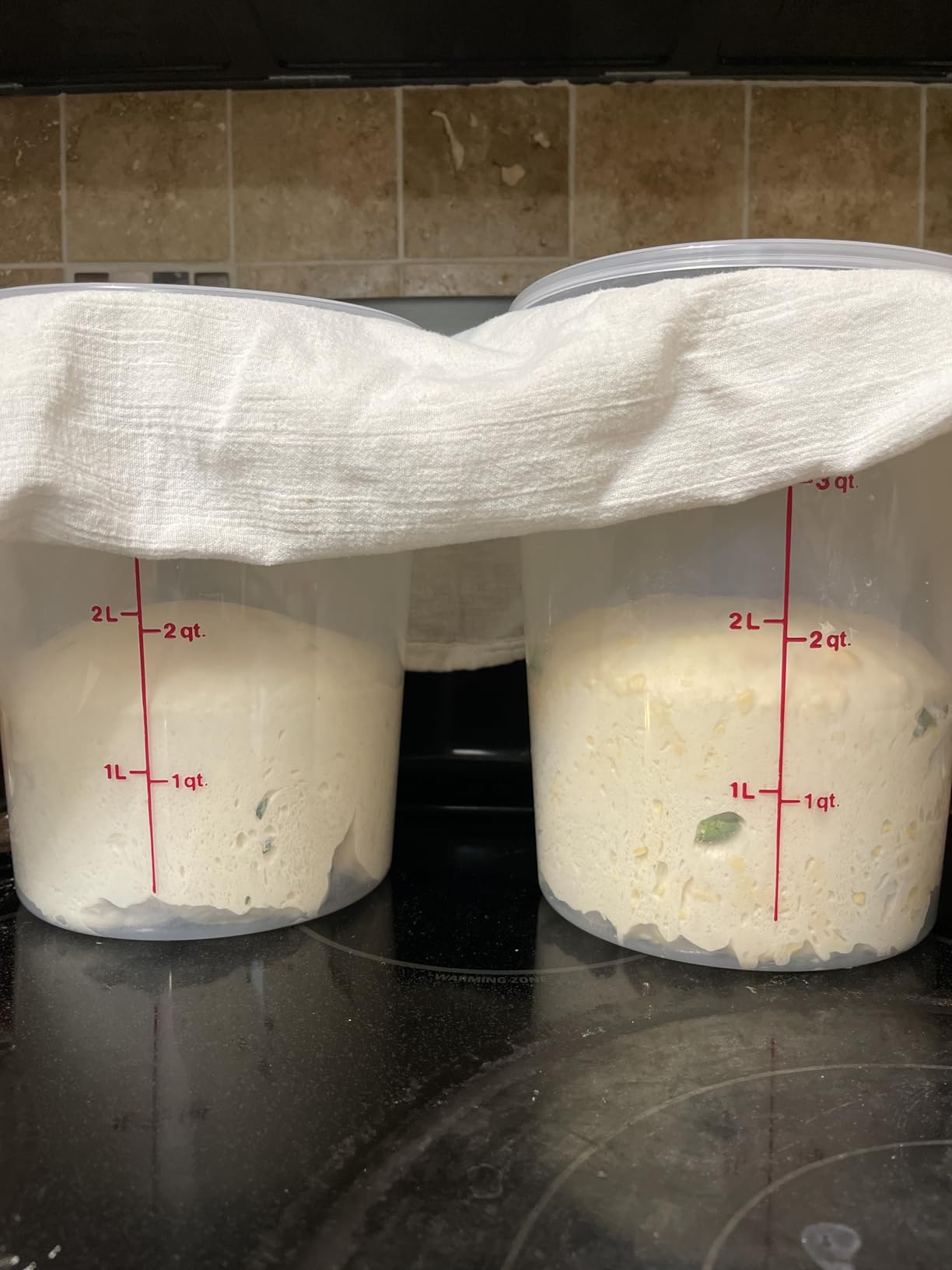 Cambro Food Storage Containers with Lids (BPA-Free) - 4 Quart - Food Grade Buckets with Lids (2 Pack) - For Dough Proofing and Brining (Translucent) customer photo 1