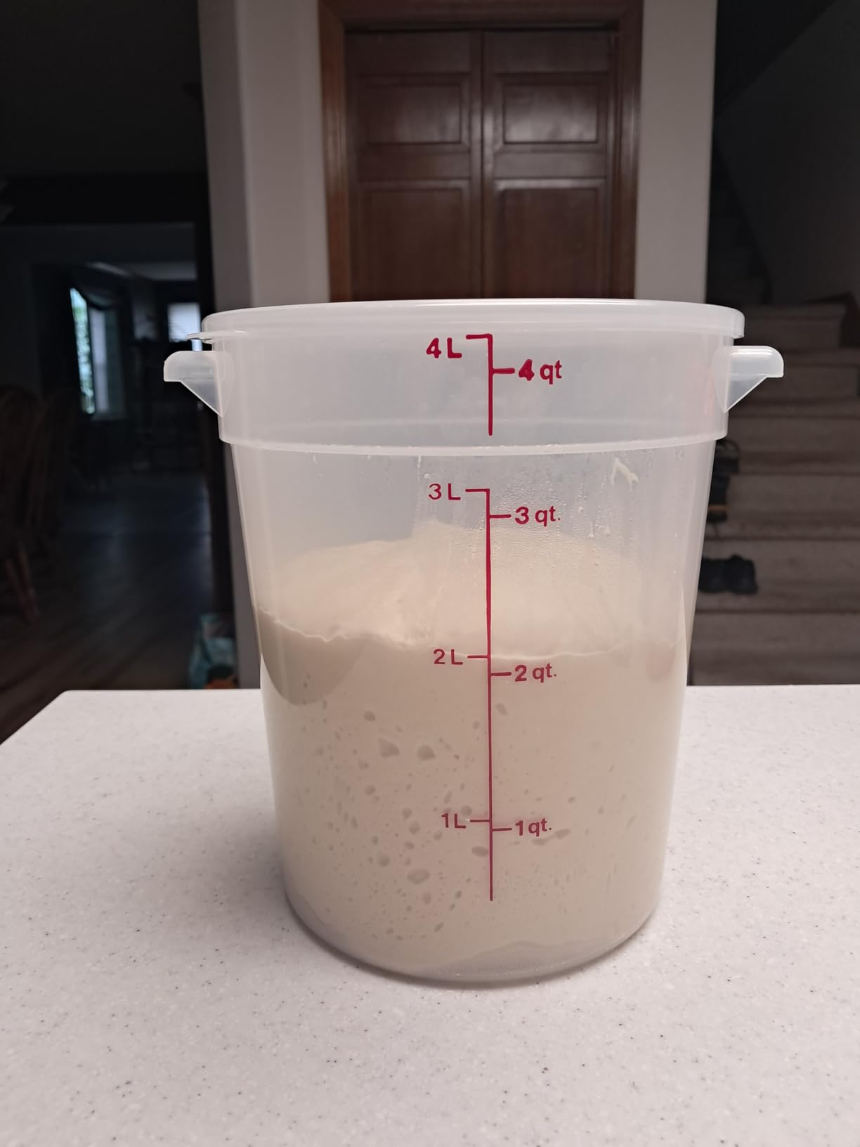 Cambro Food Storage Containers with Lids (BPA-Free) - 4 Quart - Food Grade Buckets with Lids (2 Pack) - For Dough Proofing and Brining (Translucent) customer photo 2