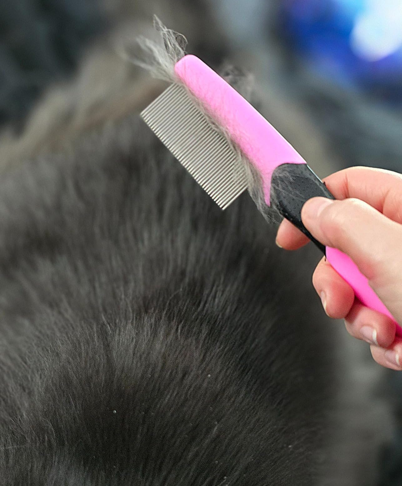 Cat Grooming Brush Kit - 5pcs for Shedding & Matted Fur, Self-Cleaning with Flea Comb for Indoor Long-Haired Cats (Blue) customer photo 2