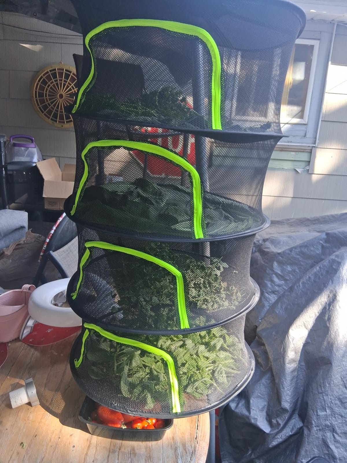 Herb Drying Rack Hanging Mesh 2 Layer 18