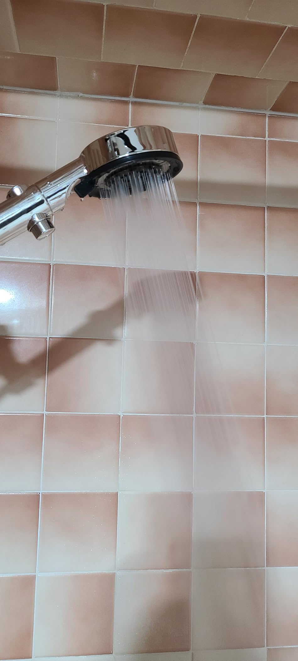 5+1 Mode High Pressure Replacement White RV Shower Head with Hose customer photo 2