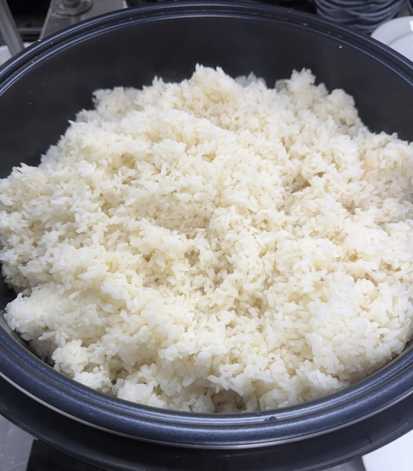 Commercial Rice Warmer(Not Rice Cooker) 55 Raw/110 CUP Portable 20L Big Food Warmer / 122℉- 178℉ Adjustable Temperature/ 130W/ Non-stick Inner Pot customer photo 1