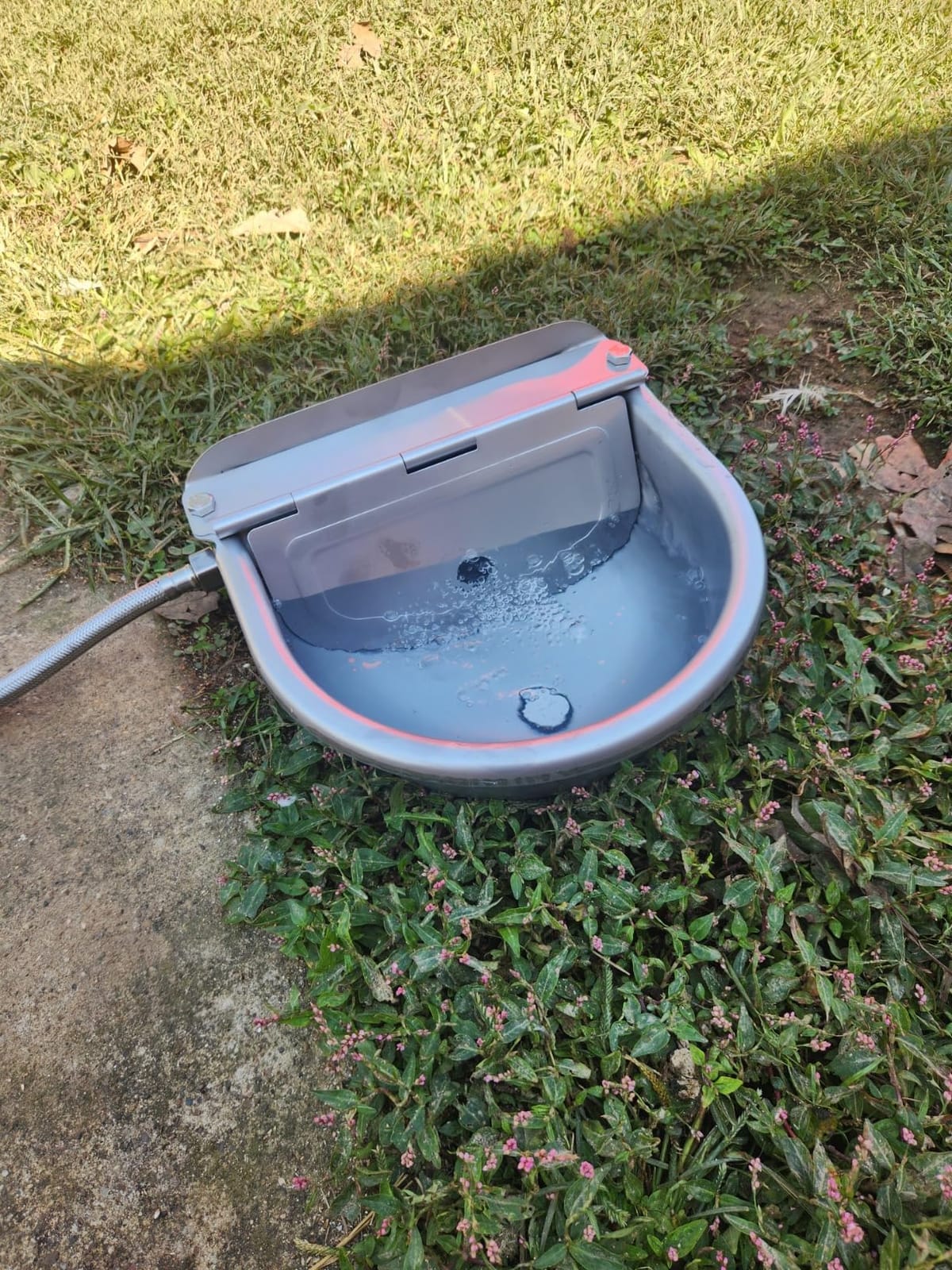 Automatic Water Dispenser for Chicken, 304 Stainless Steel Outdoor Auto Fill Waterer Bowl Self Refilling Watering System with 2 Float Valves and Drainage Hole for Chicken,Duck,Poultry customer photo 2