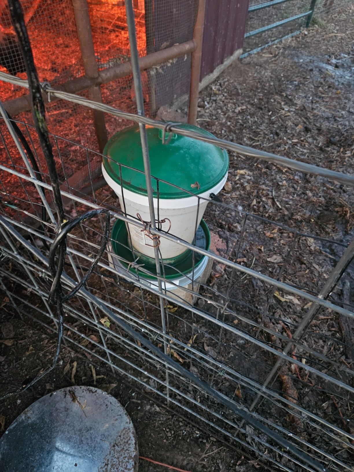 Chicken Water Heater for Winter， Heated Poultry Waterer Base,with Thermostat and 9.8ft Power Cord, Dia.11in customer photo 1