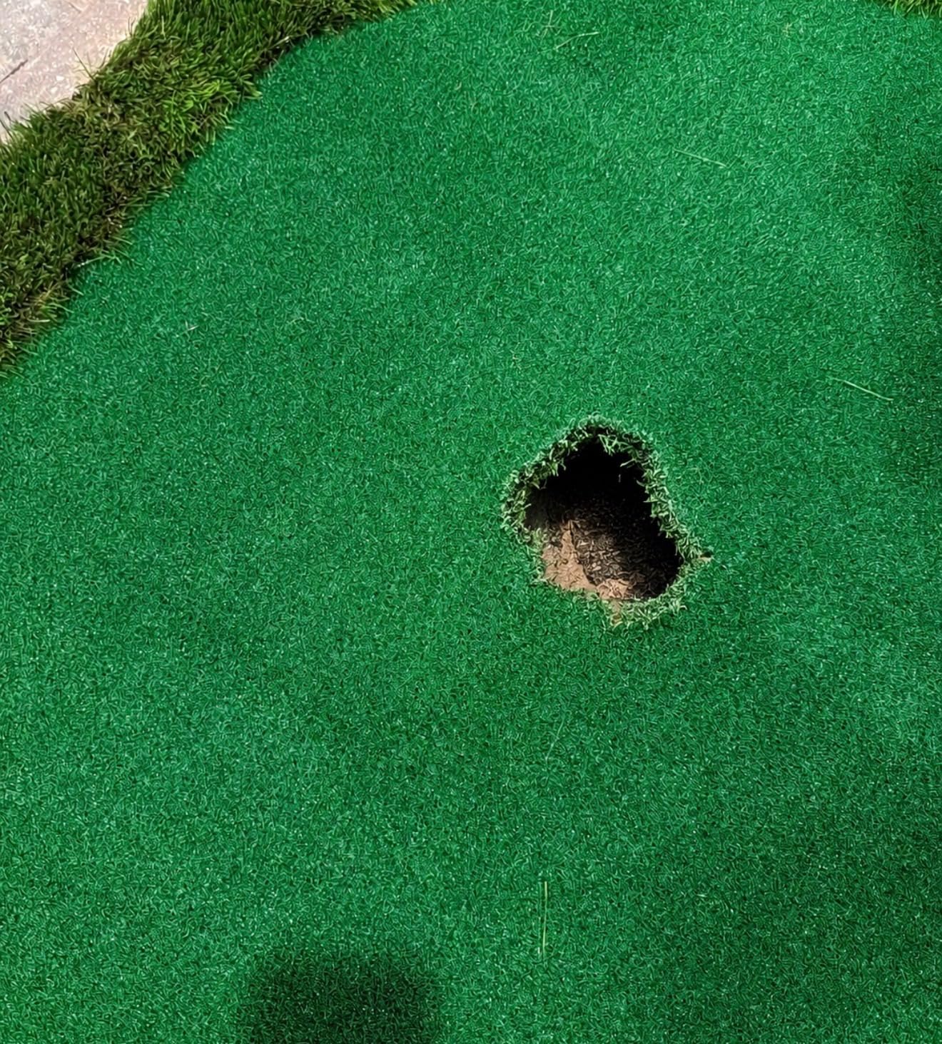 Golf Putting Green Indoor Outdoor Large Practice Putting Mat 5x10ft/5x12ft customer photo 2