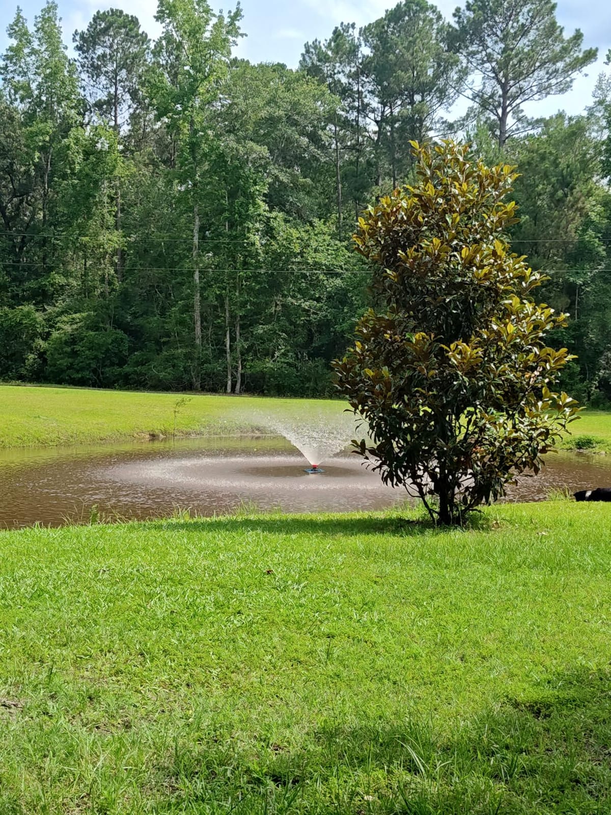 Goldlife Pond Fountain Aerator F2 1HP 750W 15000GPH Floating Fountains Pump customer photo 1